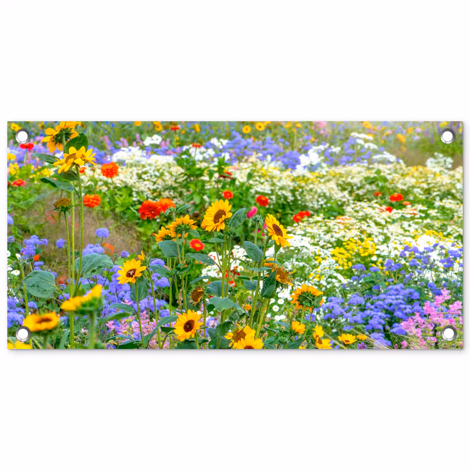 Zomerbloemen in volle bloei tuinposter los doek klein -3d