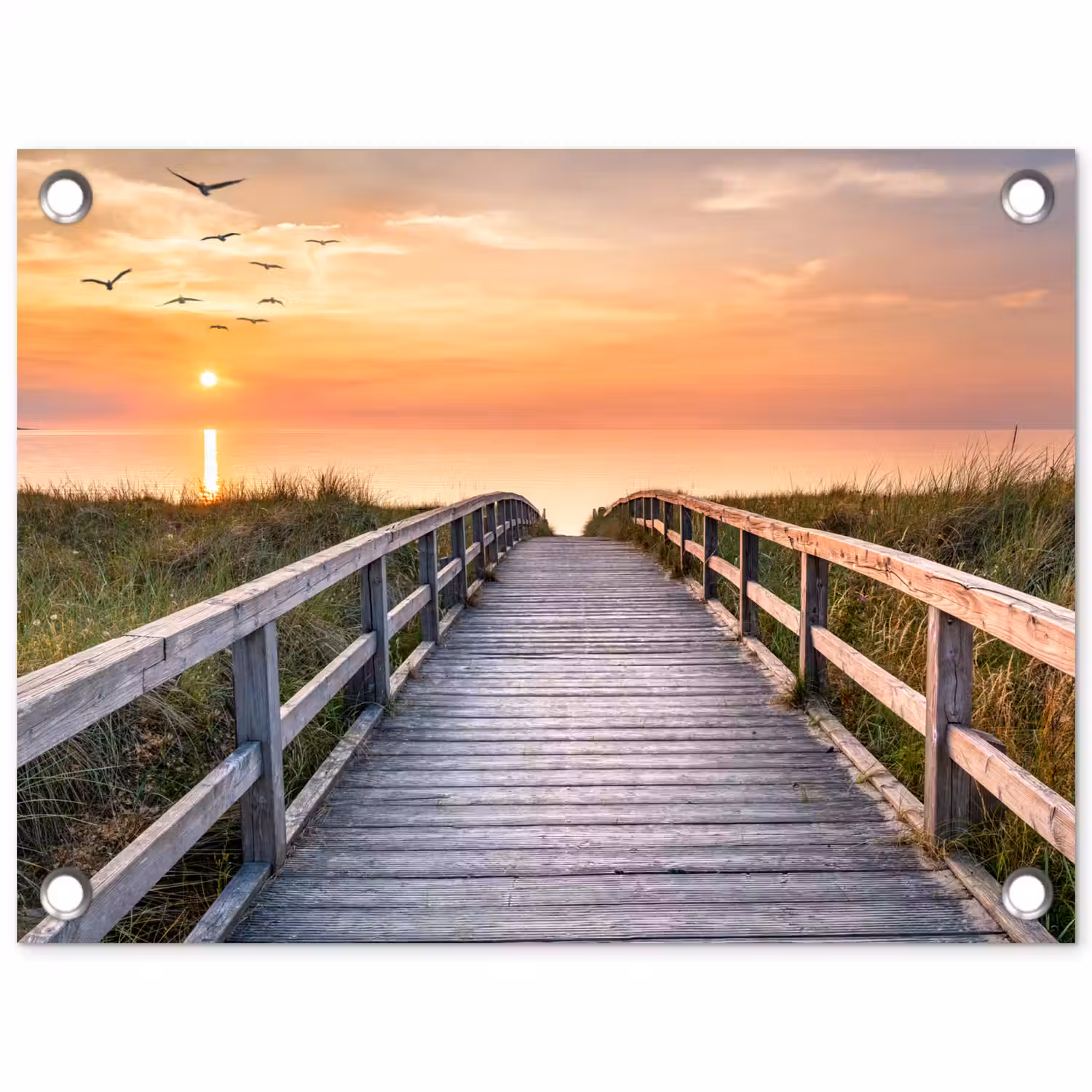 Zonsonderang - Zee - Pad - Gras - Duin - Vogels tuinposter los doek klein -3d