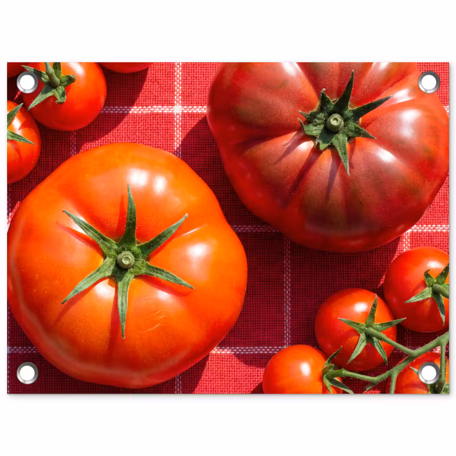 Garden Poster - Tomato - Red - Food - Tomaat - Rood - Eten tuinposter los doek klein