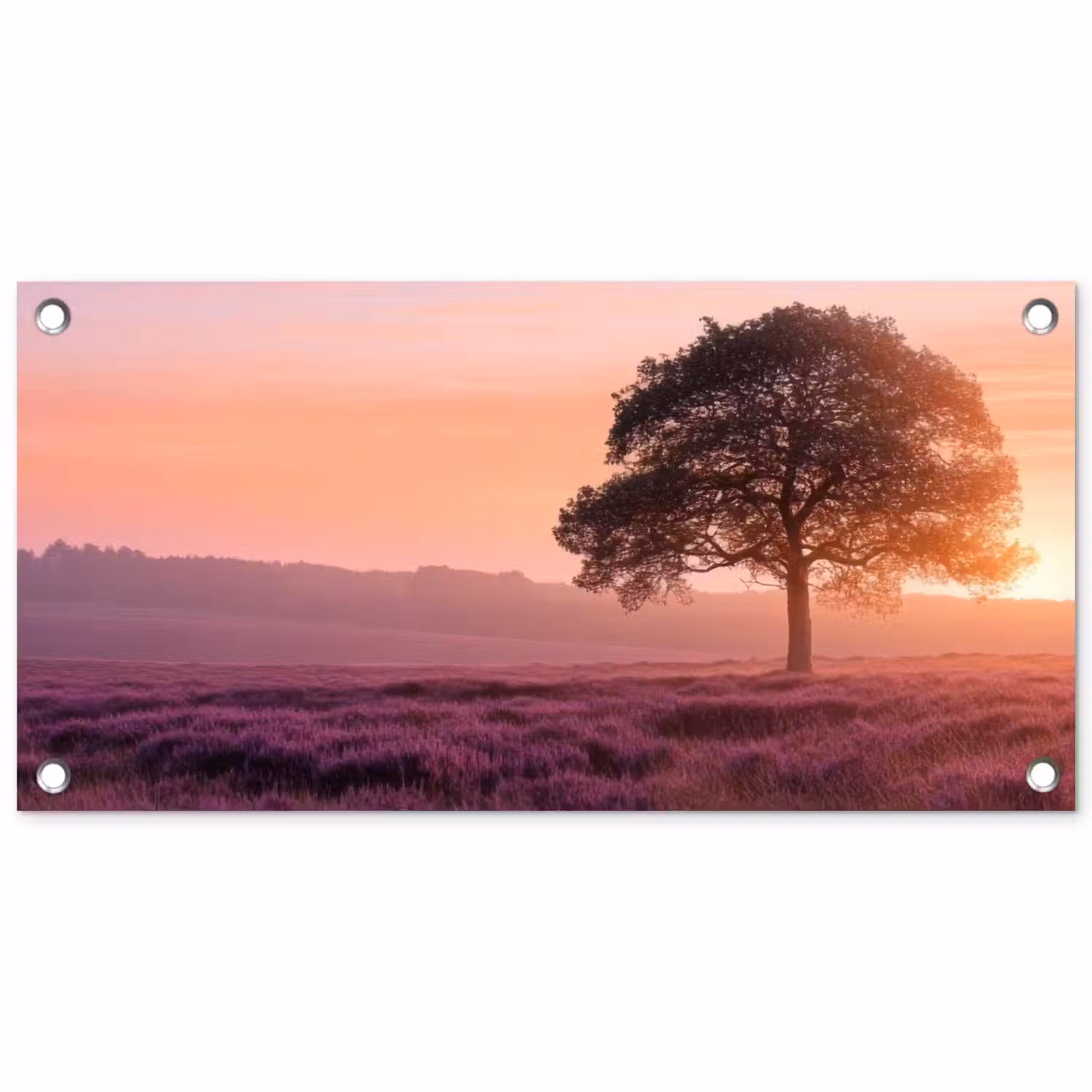 Boom - Heide - Zonsopgang tuinposter los doek klein -3d