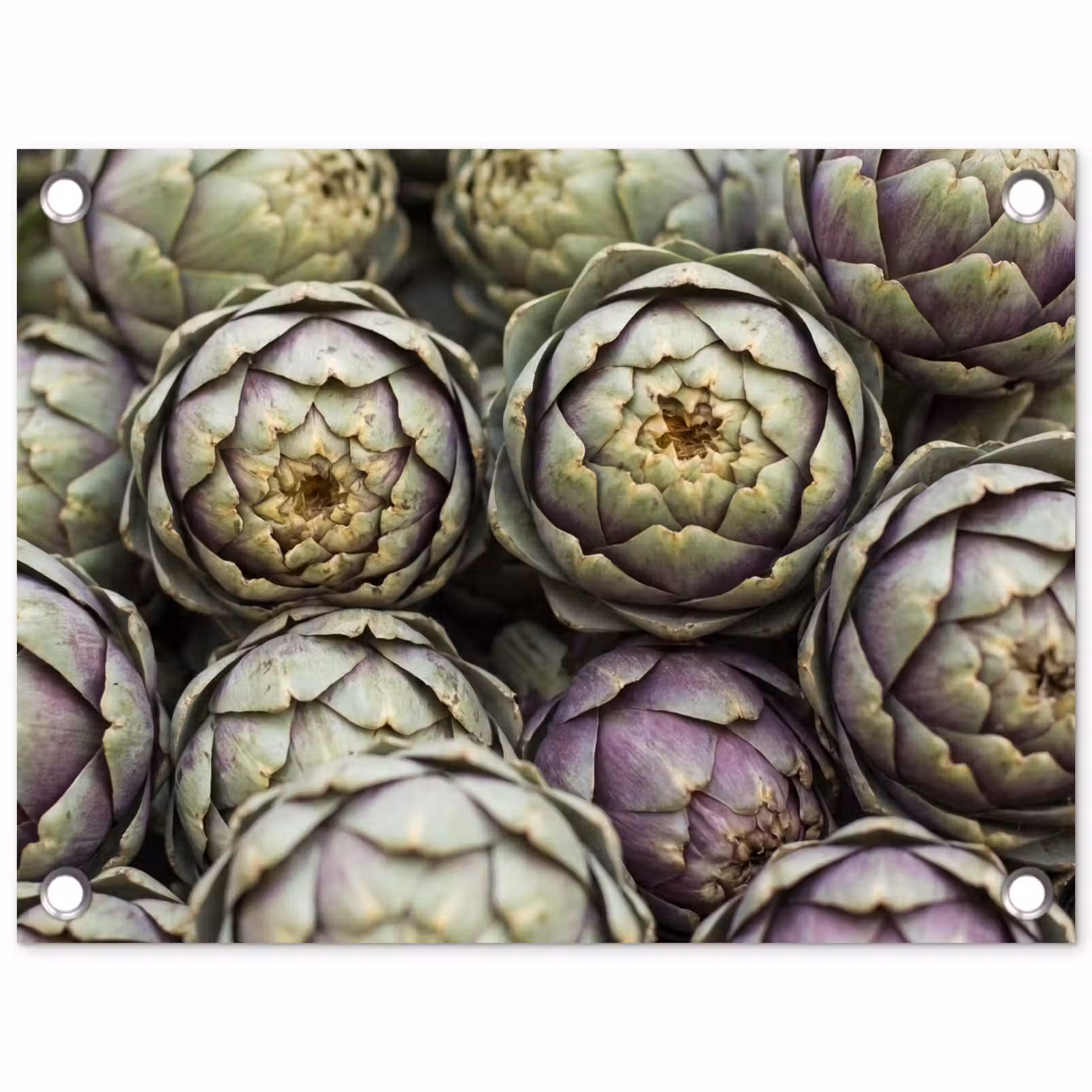 Garden Poster - Vegetables - Fresh - Food - Groenten - Vers - Eten tuinposter los doek klein