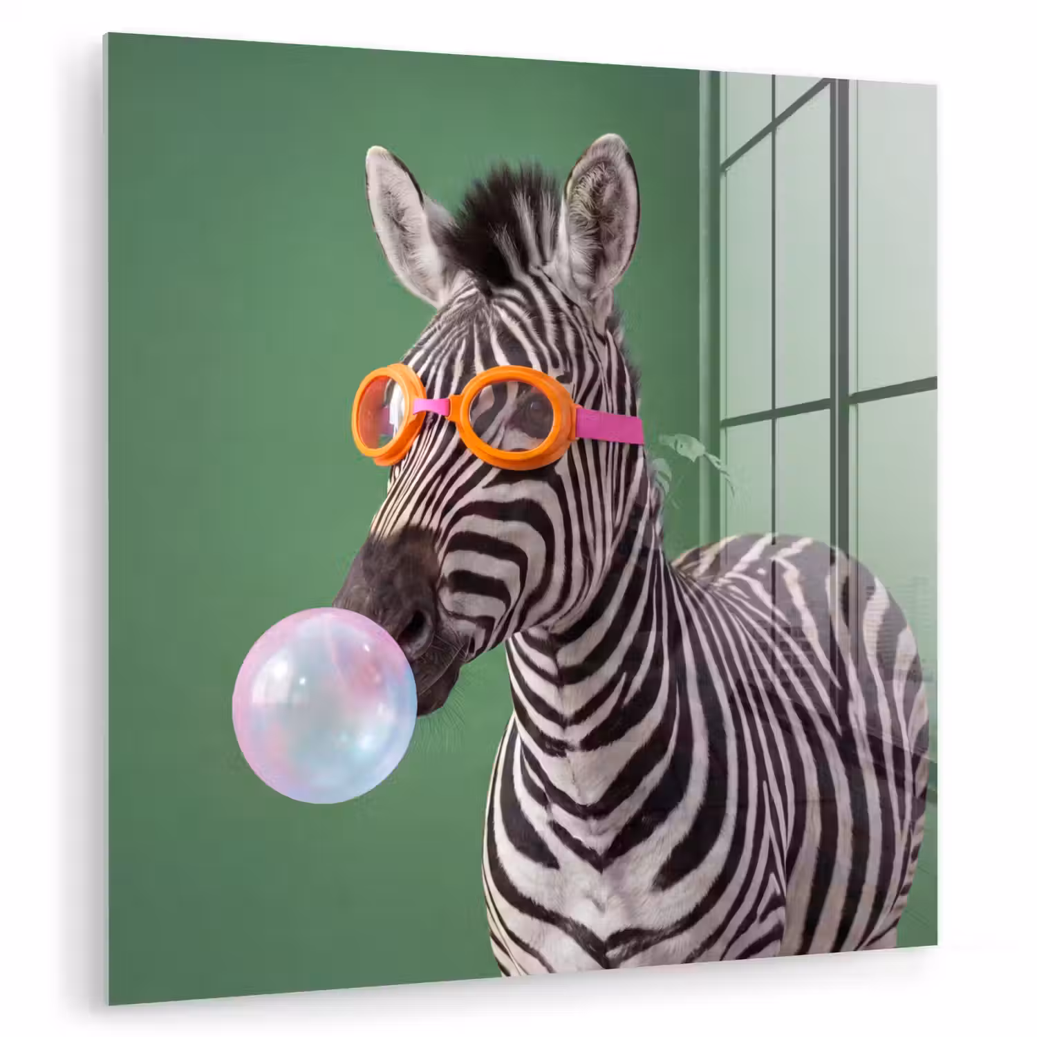 Dier - Bril - Bel - Modern - Groen plexiglas 5mm klein -zzzproduct_nieuw