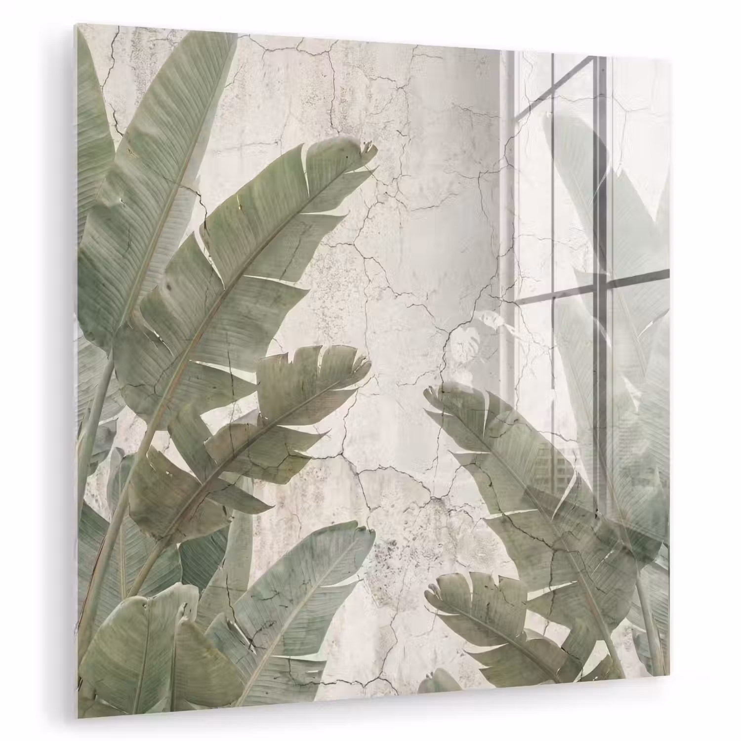 Bananenbladeren - Beton - Groen plexiglas 5mm klein -zzzproduct_nieuw