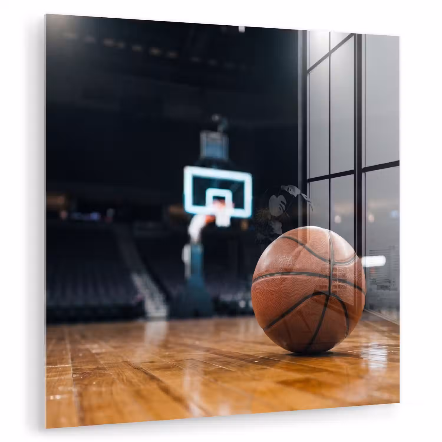 Basketbal - Arena - Sport plexiglas 5mm klein -zzzproduct_nieuw