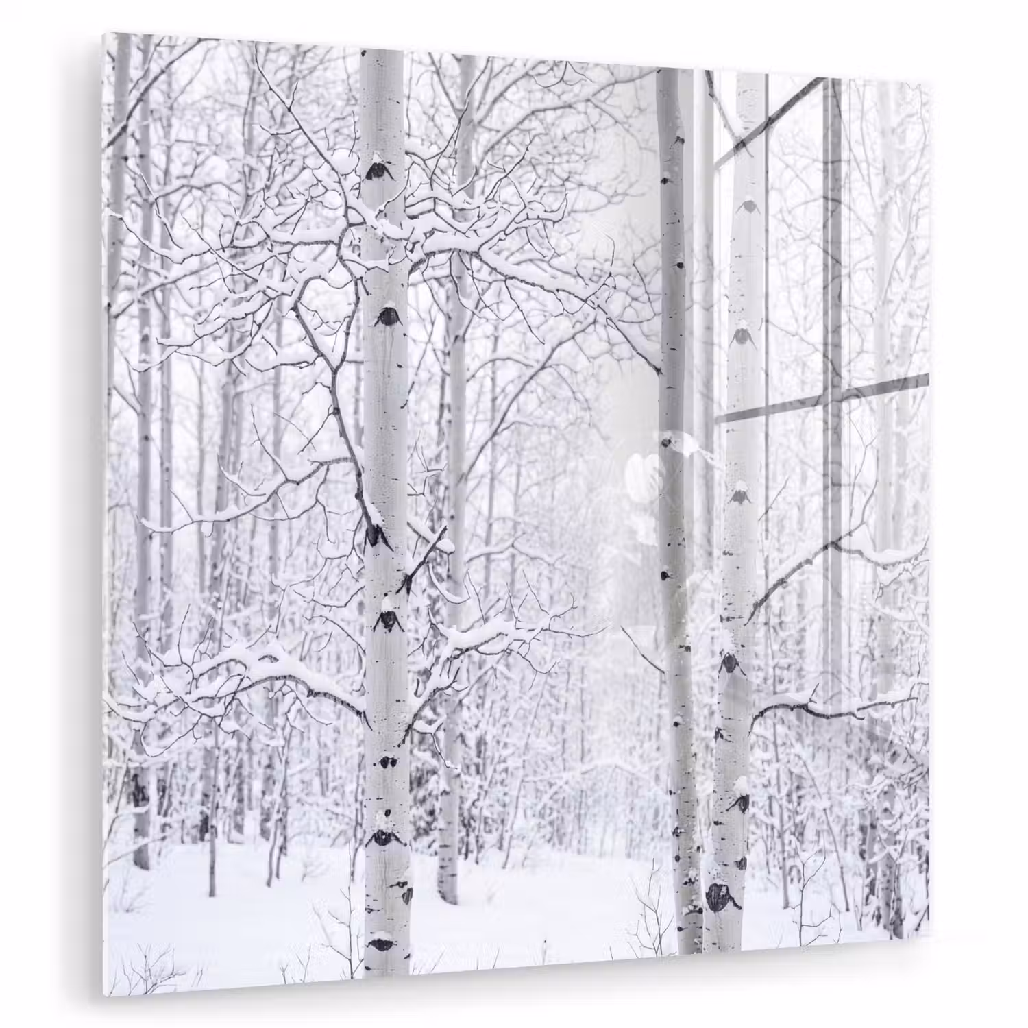 Berkenbomen - Sneeuw - Winter - Bos - Wit plexiglas 5mm klein -zzzproduct_nieuw