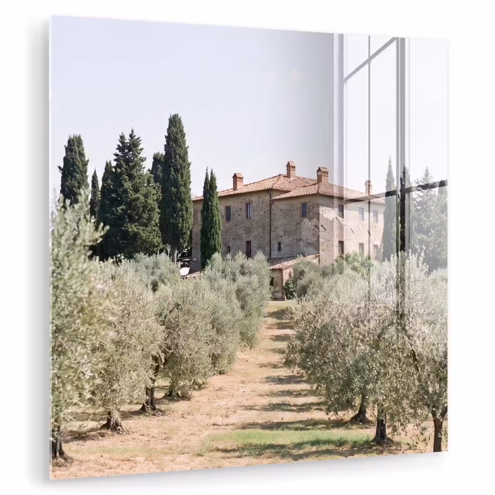 Glass Print - Country house - olive tree - orchard - Landhuis - olijfboom - gaard plexiglas 5mm klein