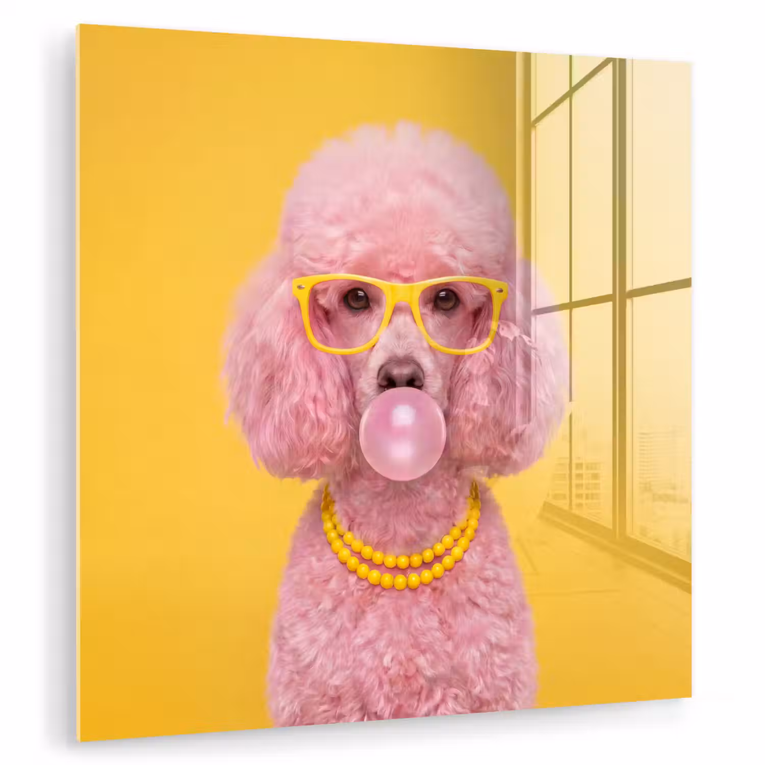 Hond - Kauwgum - Dieren - Modern - Roze plexiglas 5mm klein -zzzproduct_nieuw
