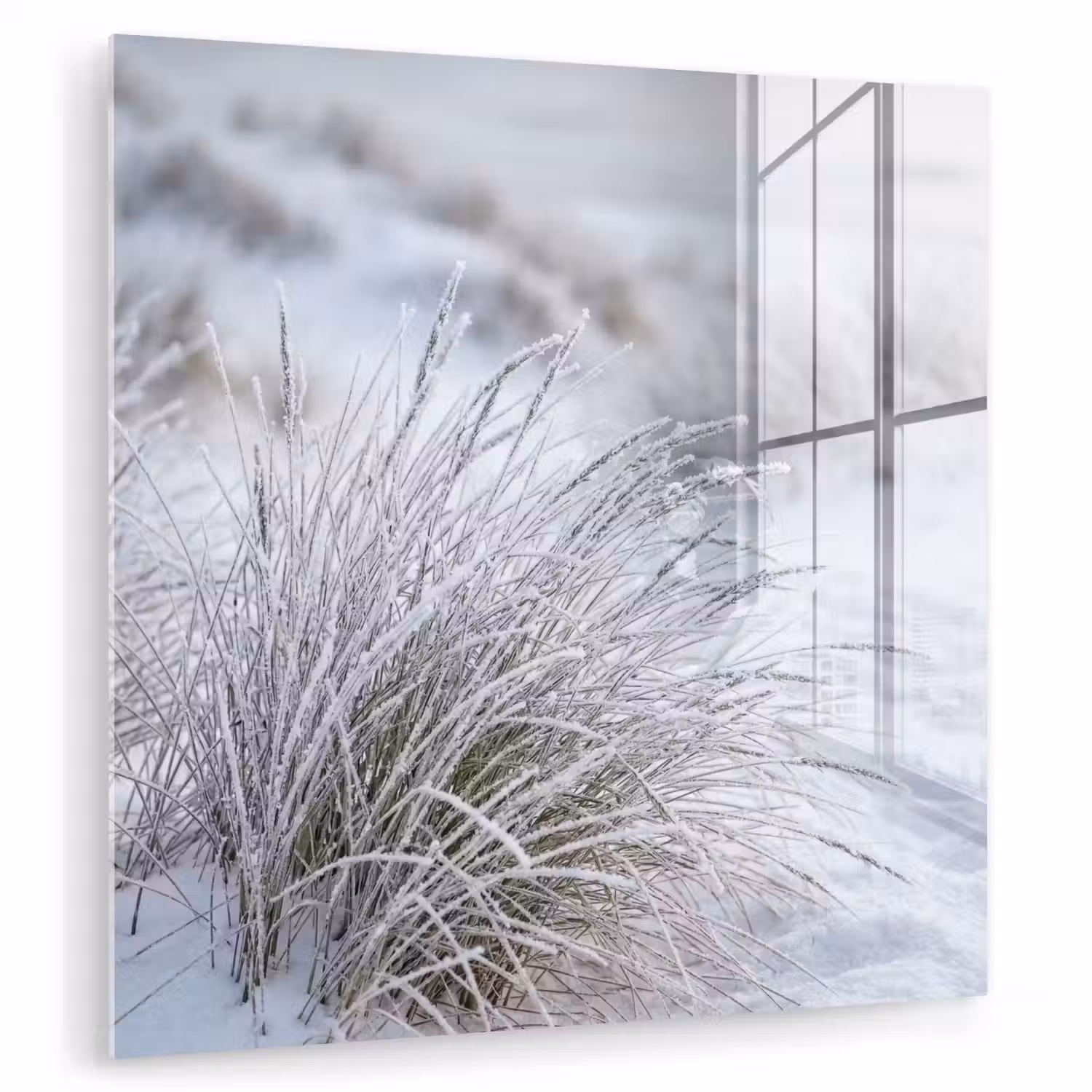 Duinen - Sneeuw - Strand - Winter - Serene plexiglas 5mm klein -zzzproduct_nieuw