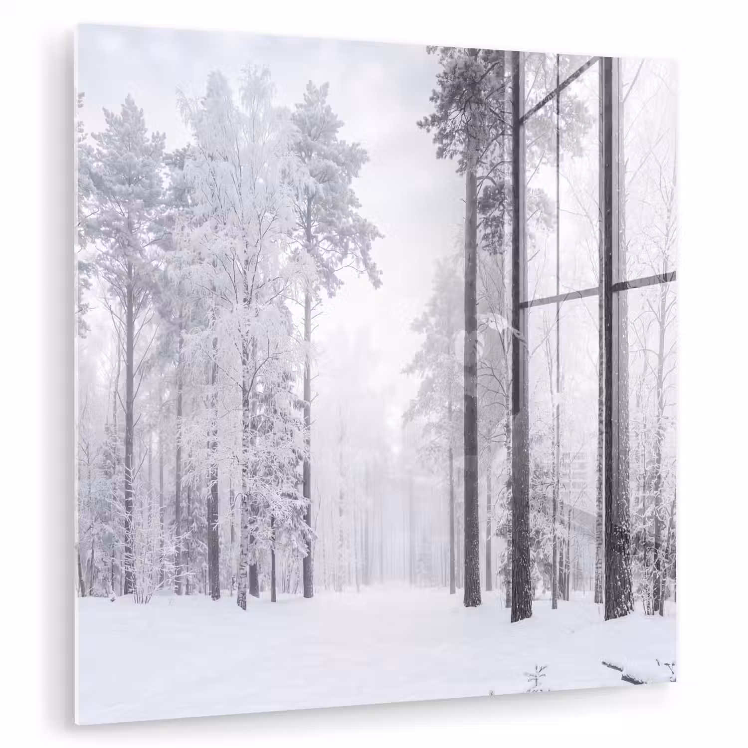 Bos - Sneeuw - Pad - Winter - Stilte plexiglas 5mm klein -zzzproduct_nieuw
