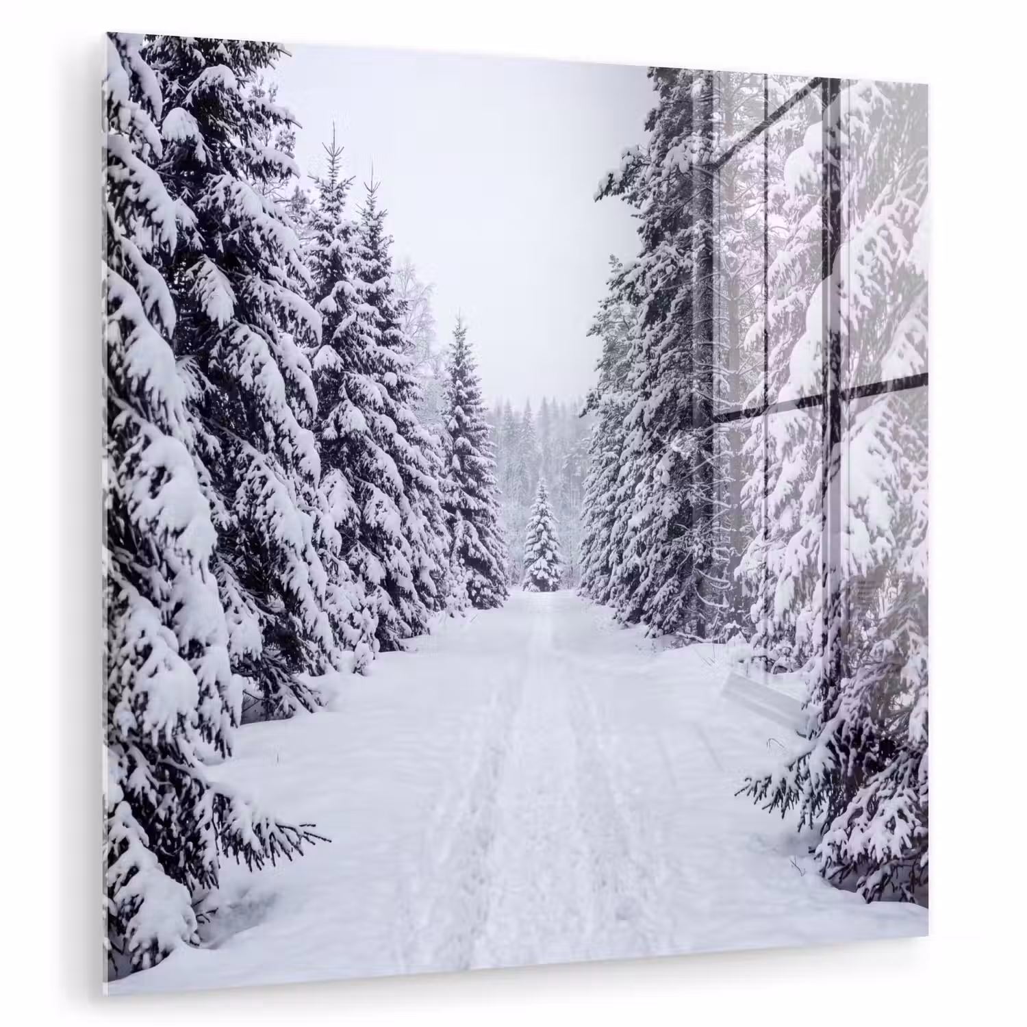 Bos - Winter - Sneeuw - Pad - Natuur plexiglas 5mm klein -zzzproduct_nieuw