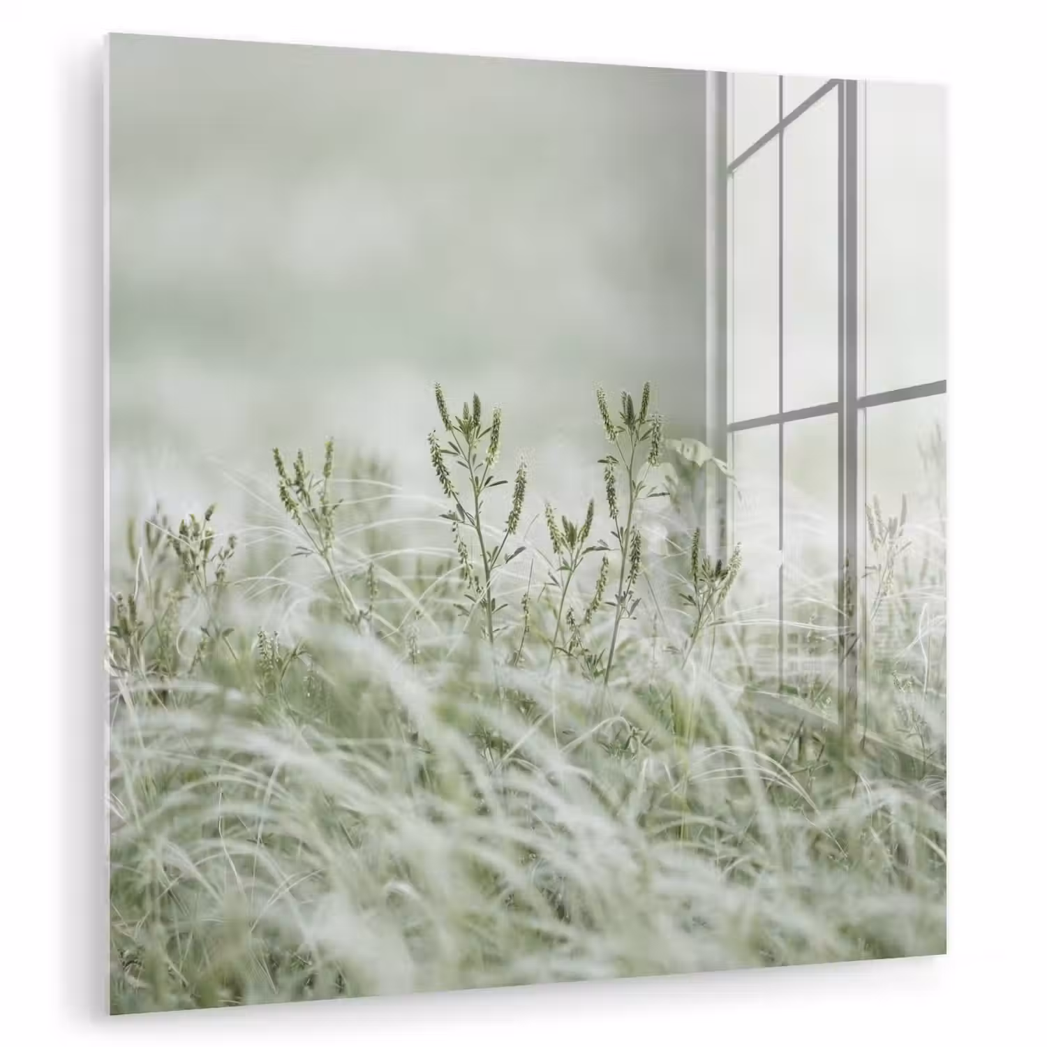 Grassen - Minimalistisch - Groen plexiglas 5mm klein -zzzproduct_nieuw
