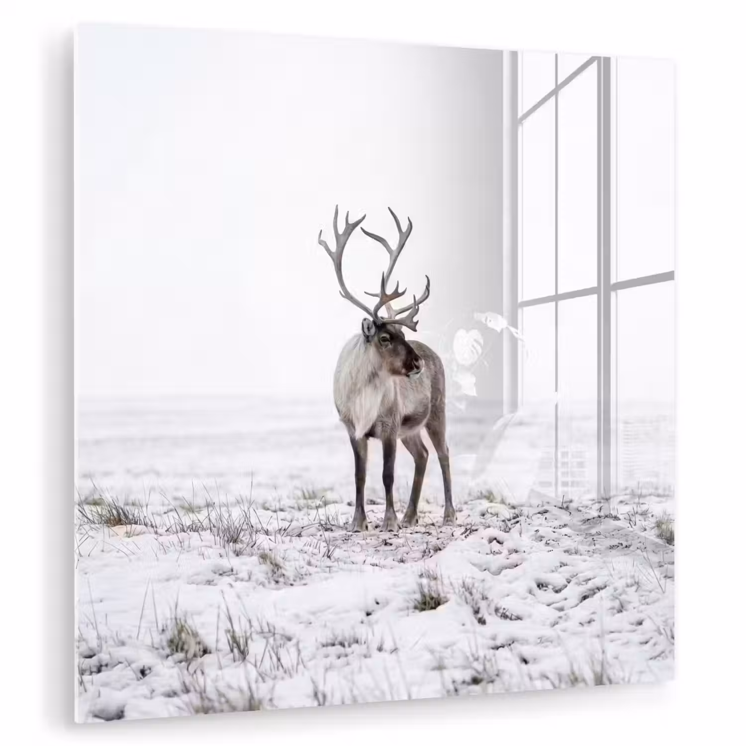 Rendier - Gewei - Sneeuw - Winter plexiglas 5mm klein -zzzproduct_nieuw