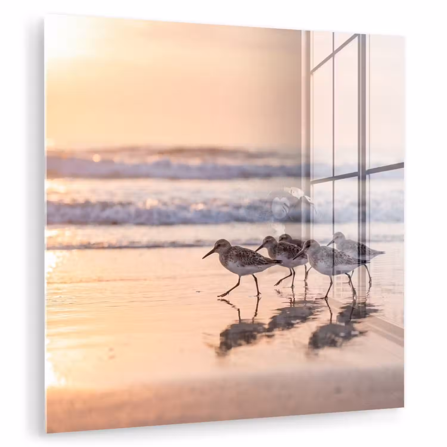 Zee - Vogels - Strand plexiglas 5mm klein -zzzproduct_nieuw