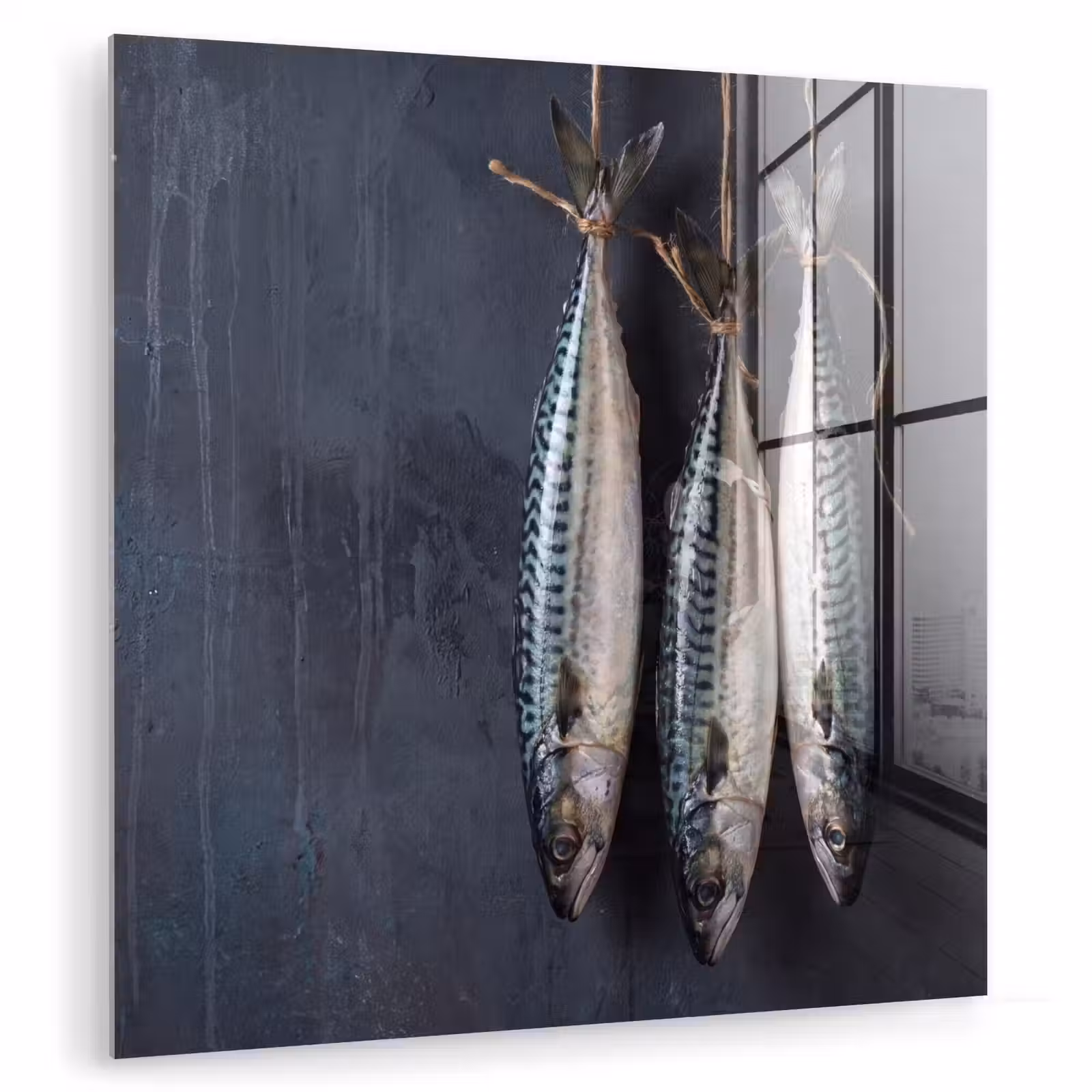 Glass Print - Three Fish - Rope - Drie vissen - Touw plexiglas 5mm klein