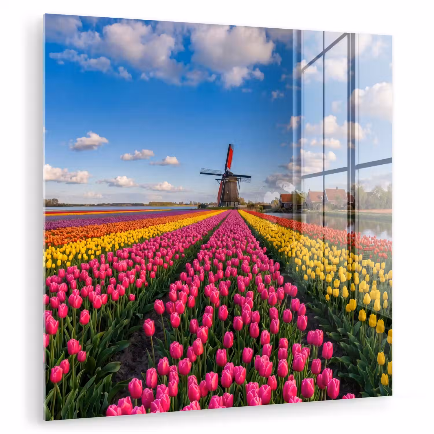Tulpen - Holland - Molen - Kleurrijk plexiglas 5mm klein -zzzproduct_nieuw