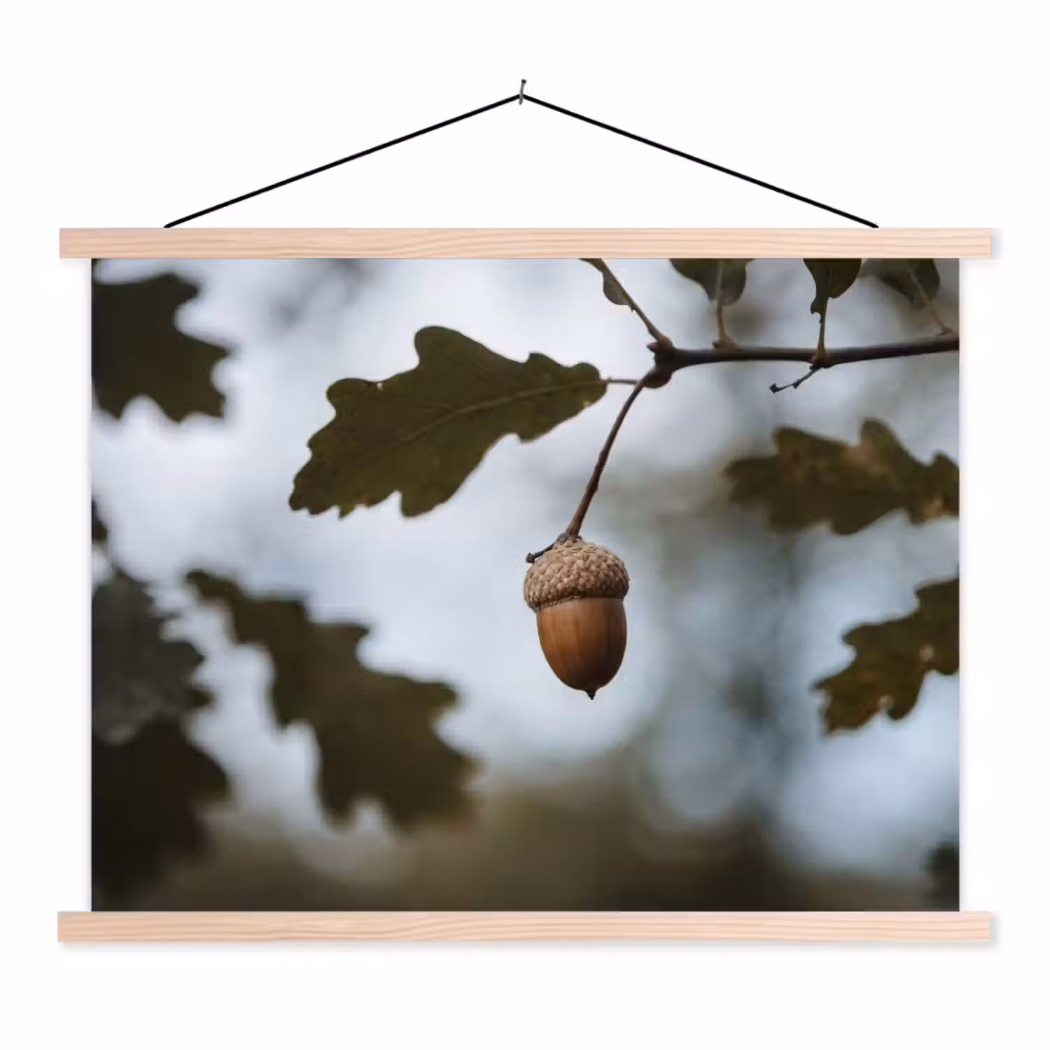 Eikel - Eikenblad - Bos - Herfst - Natuur textielposter latten blank klein -3d