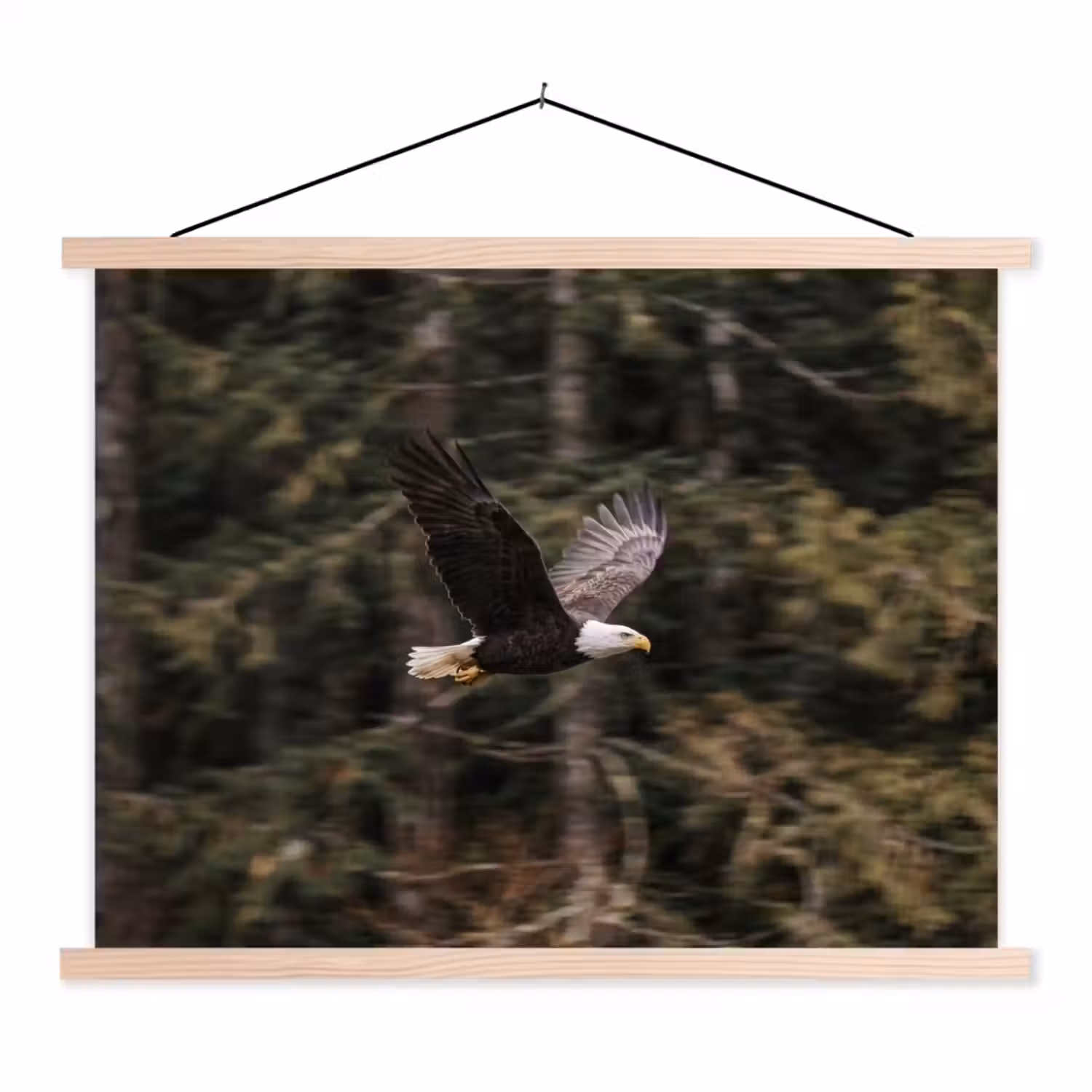 Zeearend - Vliegen - Bos - Natuur textielposter latten blank klein -3d