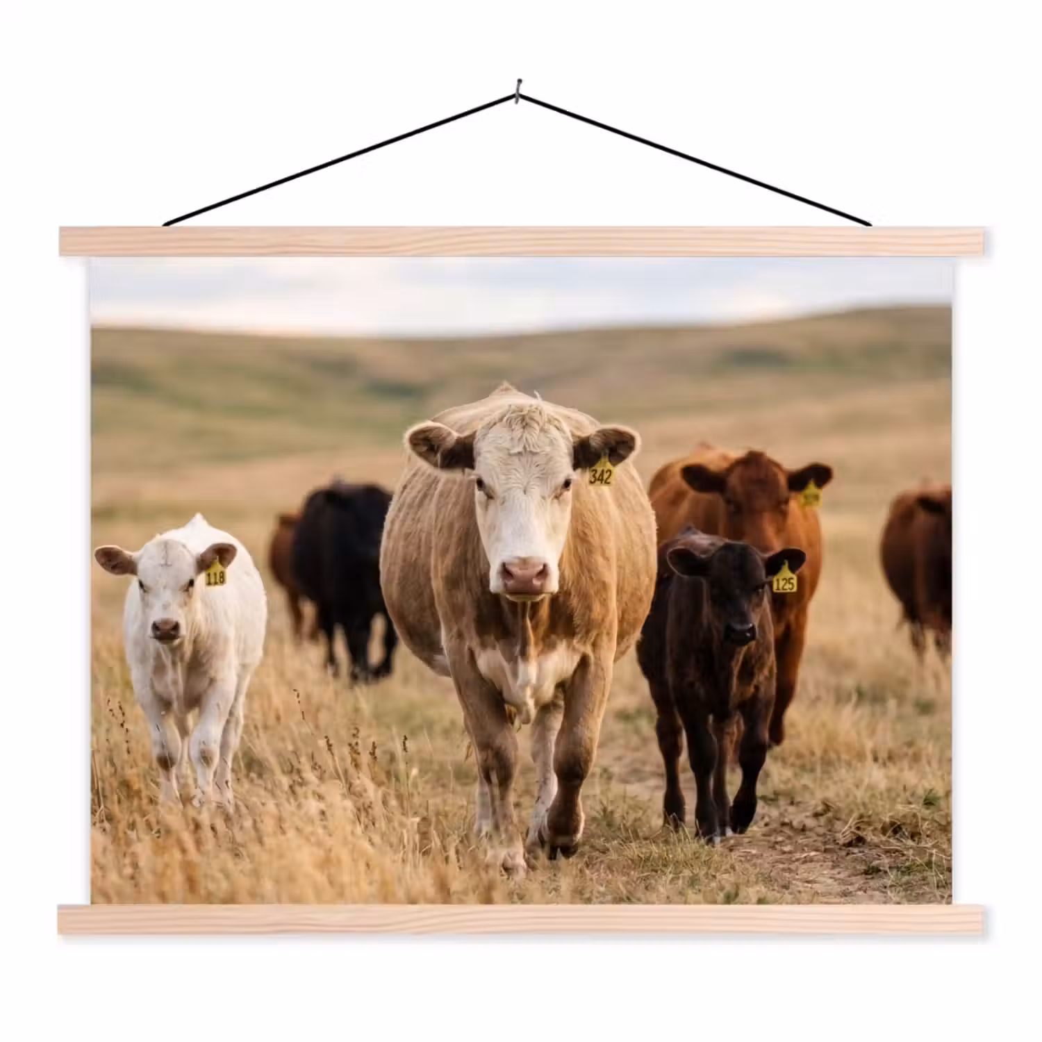 Runderen - Kudde - Landschap - Weide - Rustig textielposter latten blank klein -3d