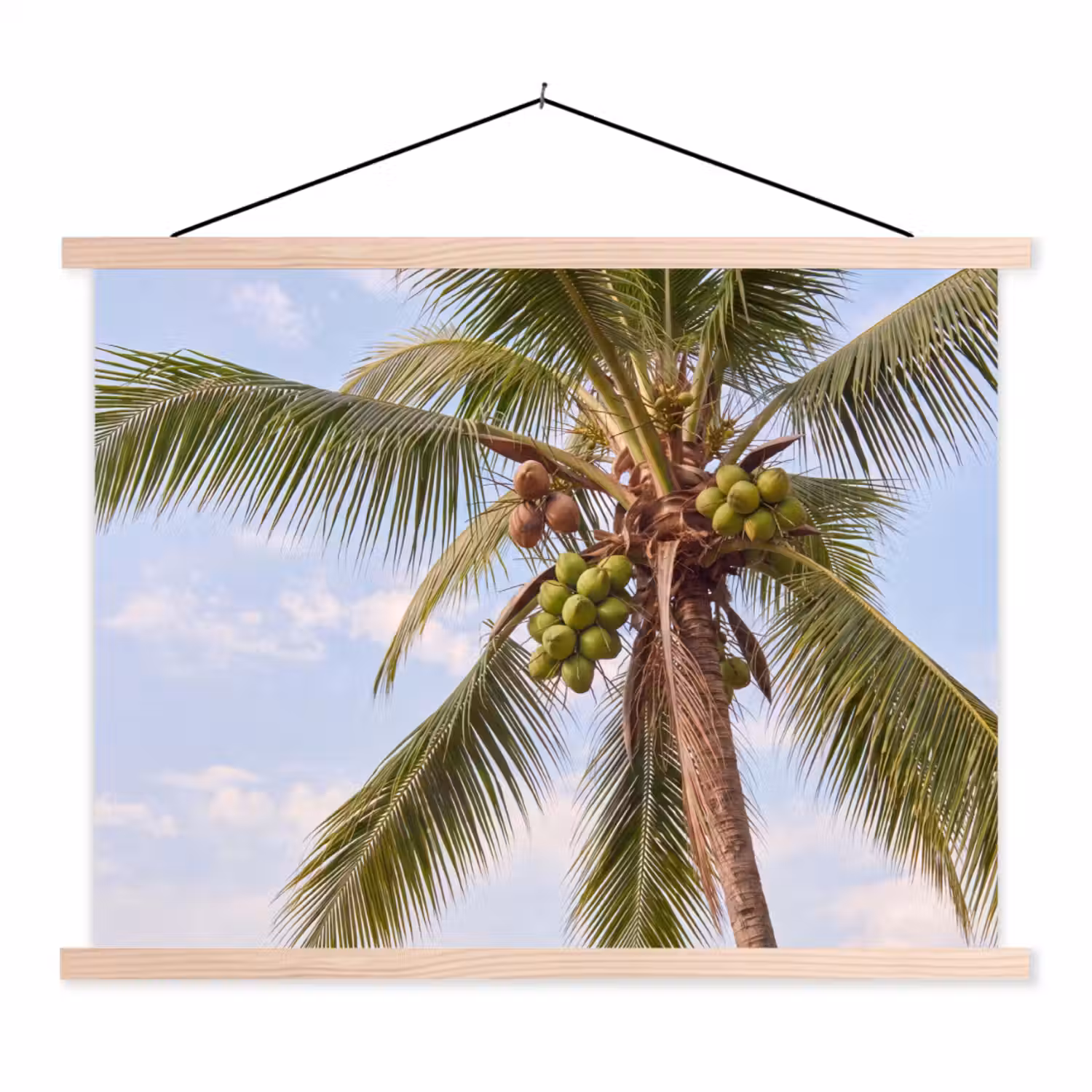 Kokosnoot - Boom - Tropisch - Natuur - Groen textielposter latten blank klein -3d