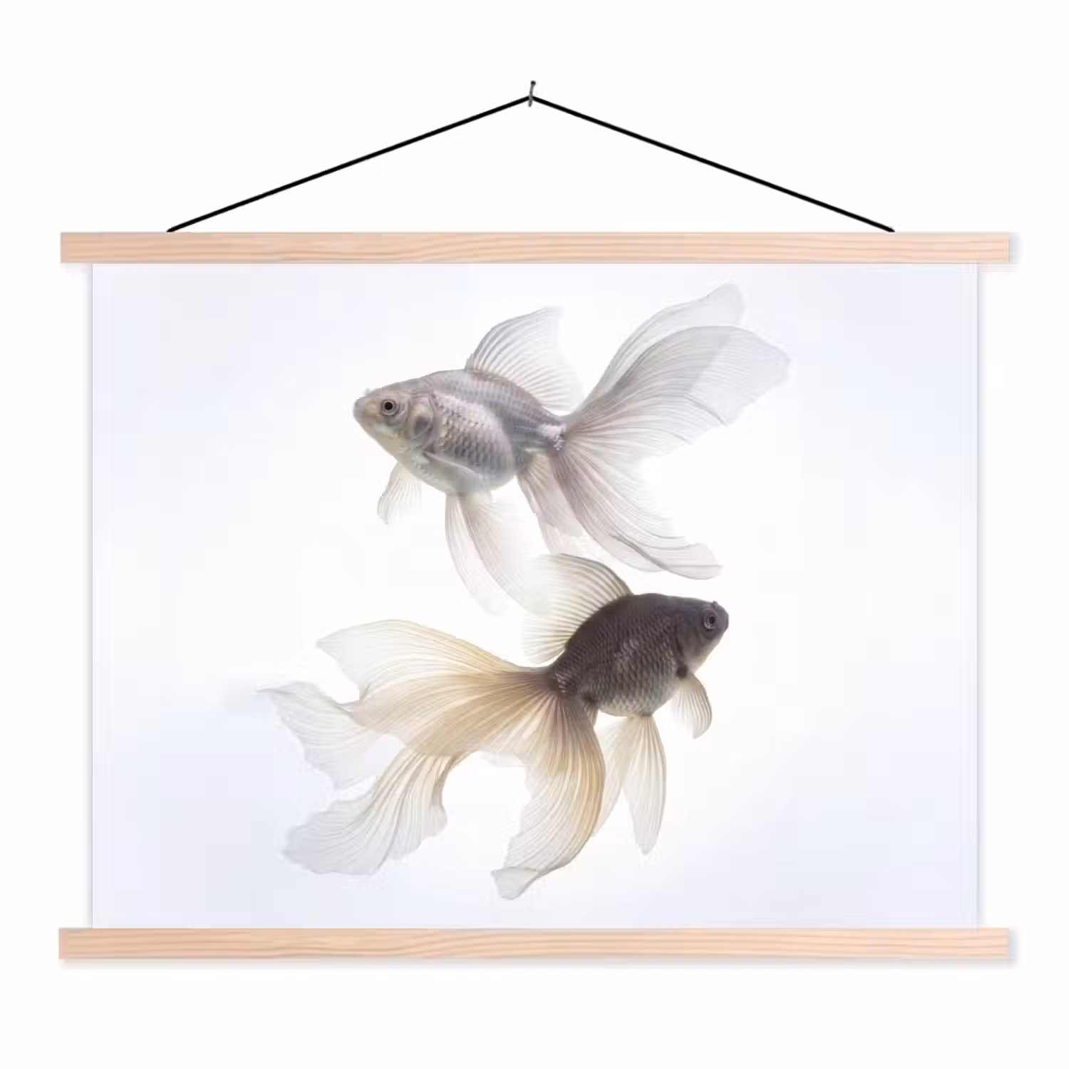 Goudvissen - Modern - Wit textielposter latten blank klein -3d