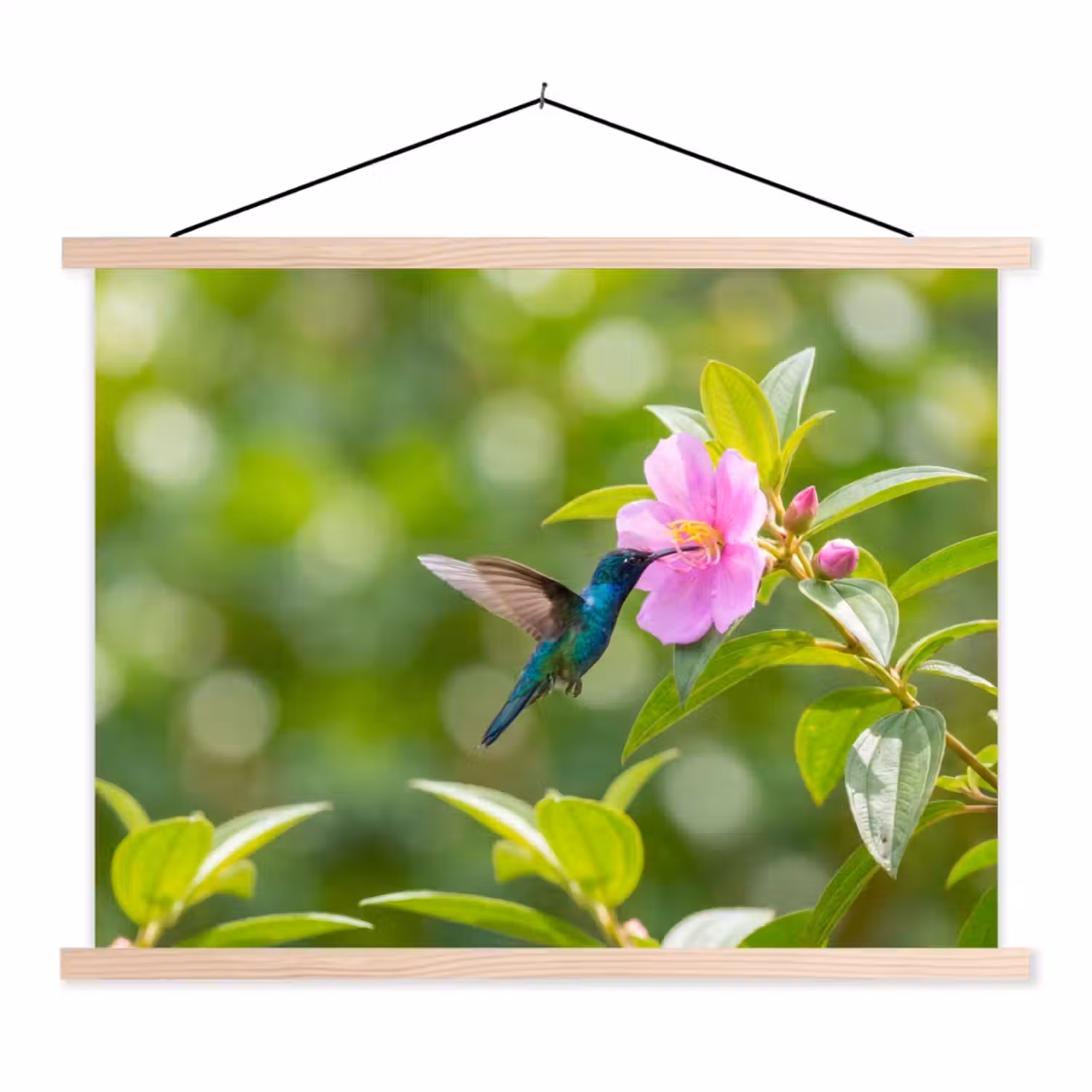 Kolibrie - Bloem - Natuur - Groen textielposter latten blank klein -3d
