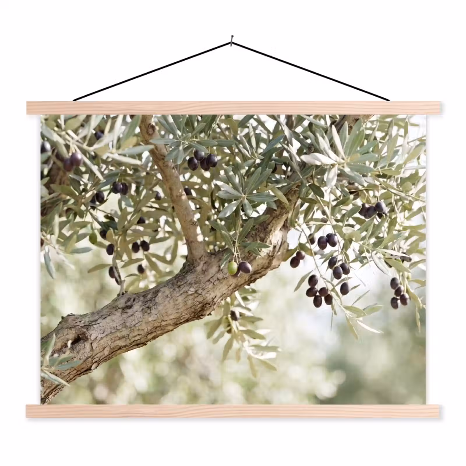 Hanging Poster - Olive tree - branch - green - Olijfboom - tak - groen textielposter latten blank klein