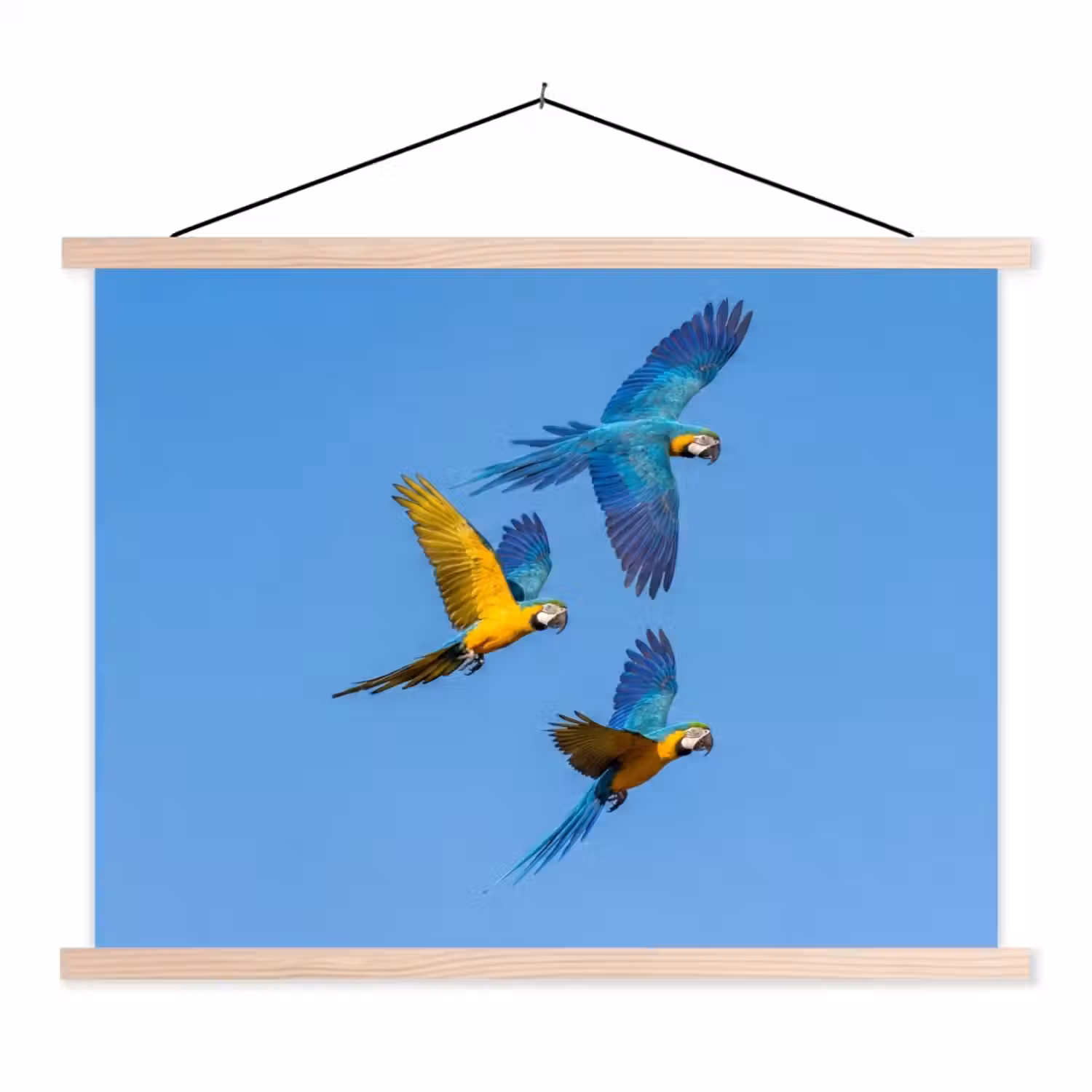 Papagaai - Vliegen - Blauw - Geel textielposter latten blank klein -3d