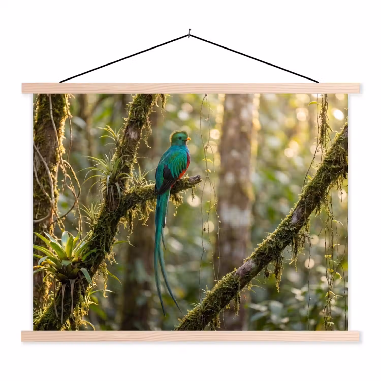 Quetzal - Jungle - Natuur - Groen textielposter latten blank klein -3d