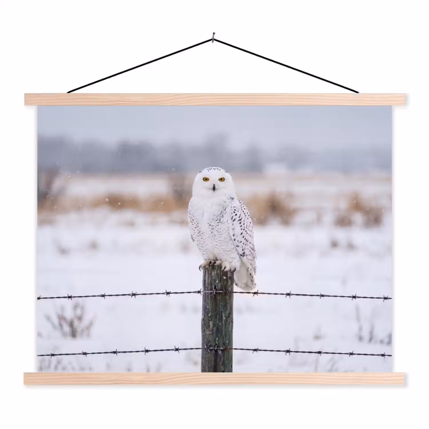 Sneeuwuil - Hek - Sneeuw - Wit textielposter latten blank klein -3d