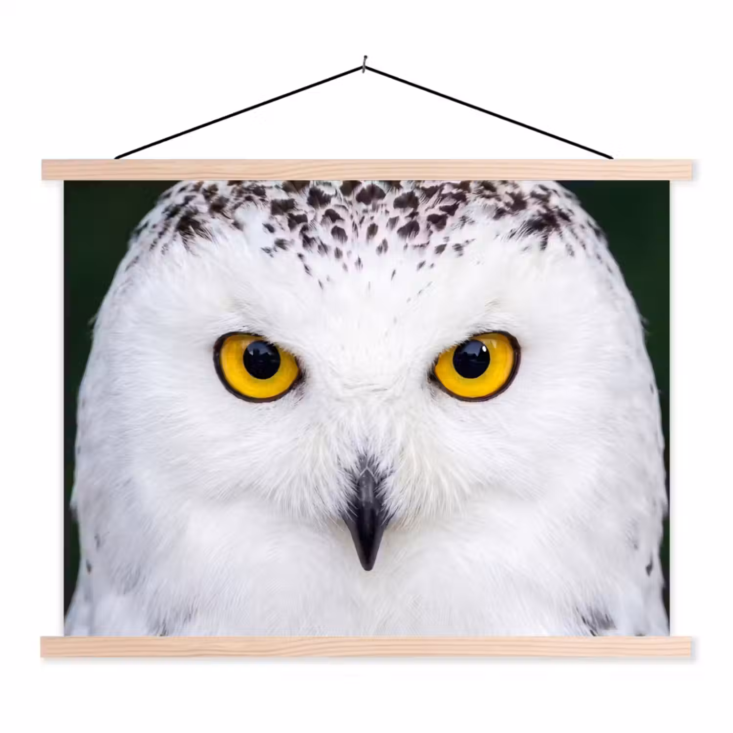Sneeuwuil - Portret - Geel textielposter latten blank klein -3d