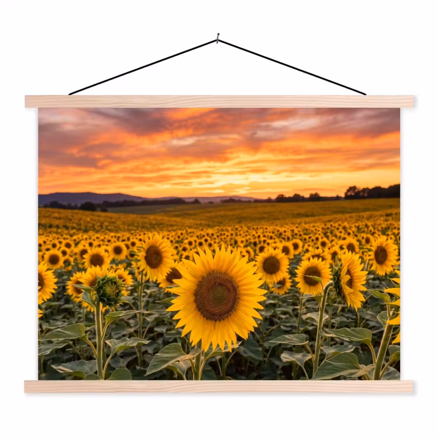 Zonnebloemen - Heuvellandschap - Geel textielposter latten blank klein -3d