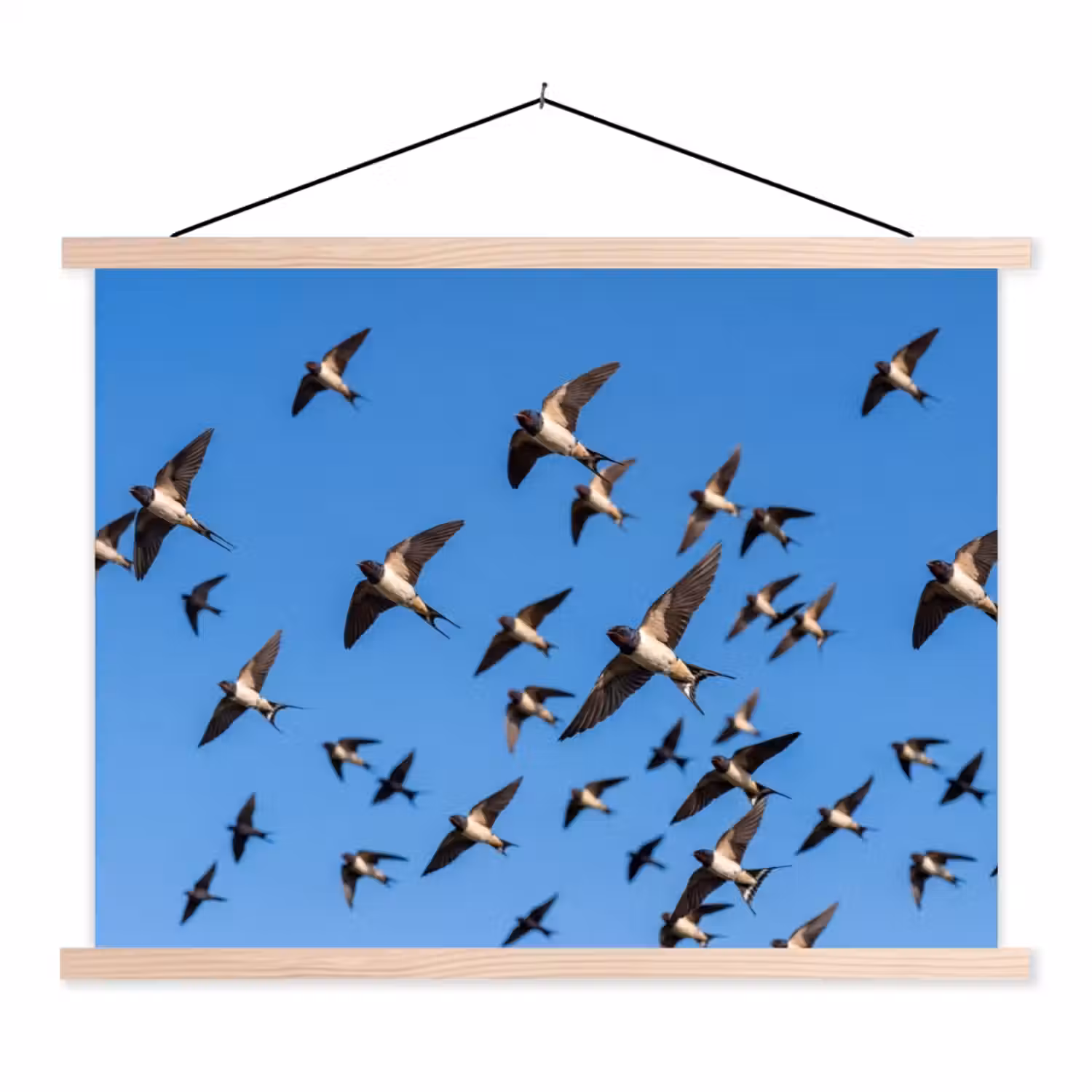 Zwaluwen - Vliegen - Blauw textielposter latten blank klein -3d
