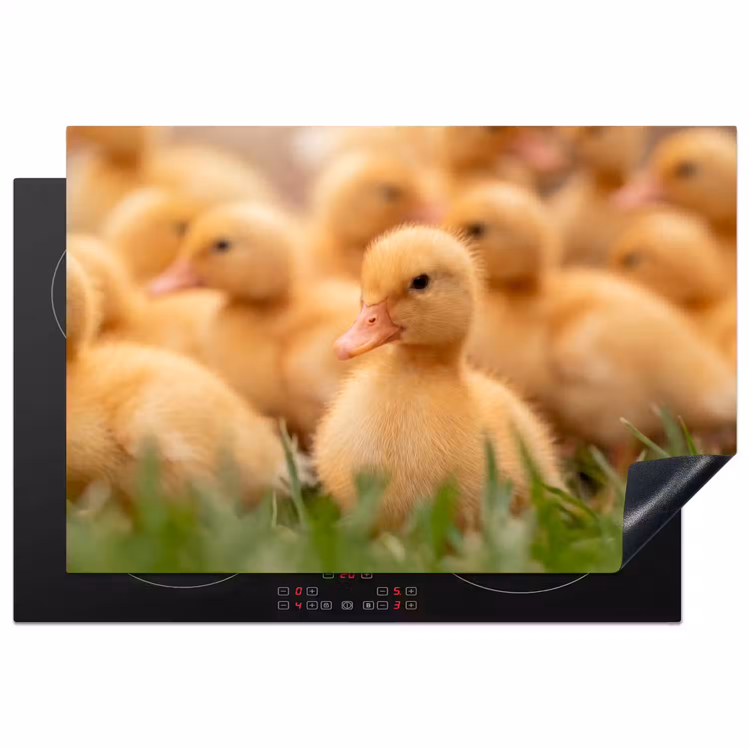 Pijltje - Eend - Natuur - Geel Inductie beschermer vinyl 3mm klein -3d