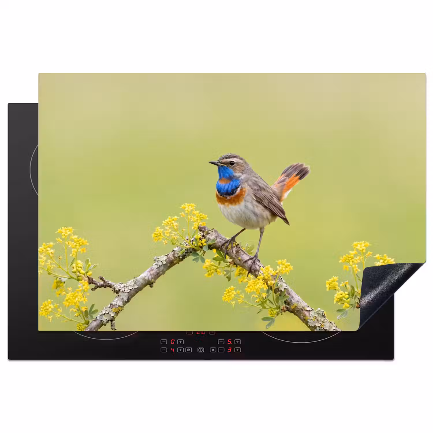 Vogel - Tak - Natuur - Kleurrijk Inductie beschermer vinyl 3mm klein -3d
