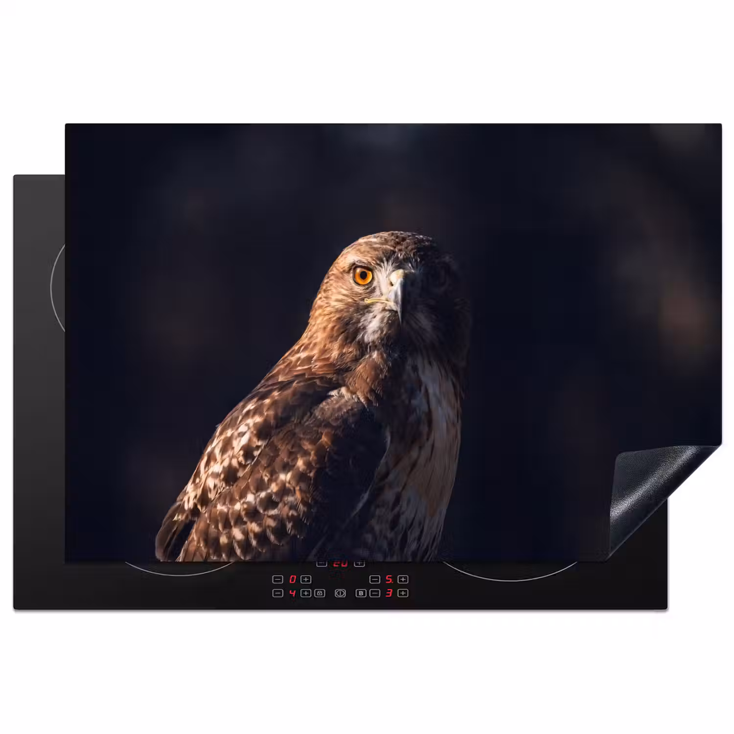 Roofvogel - Buizerd - Bruin Inductie beschermer vinyl 3mm klein -3d