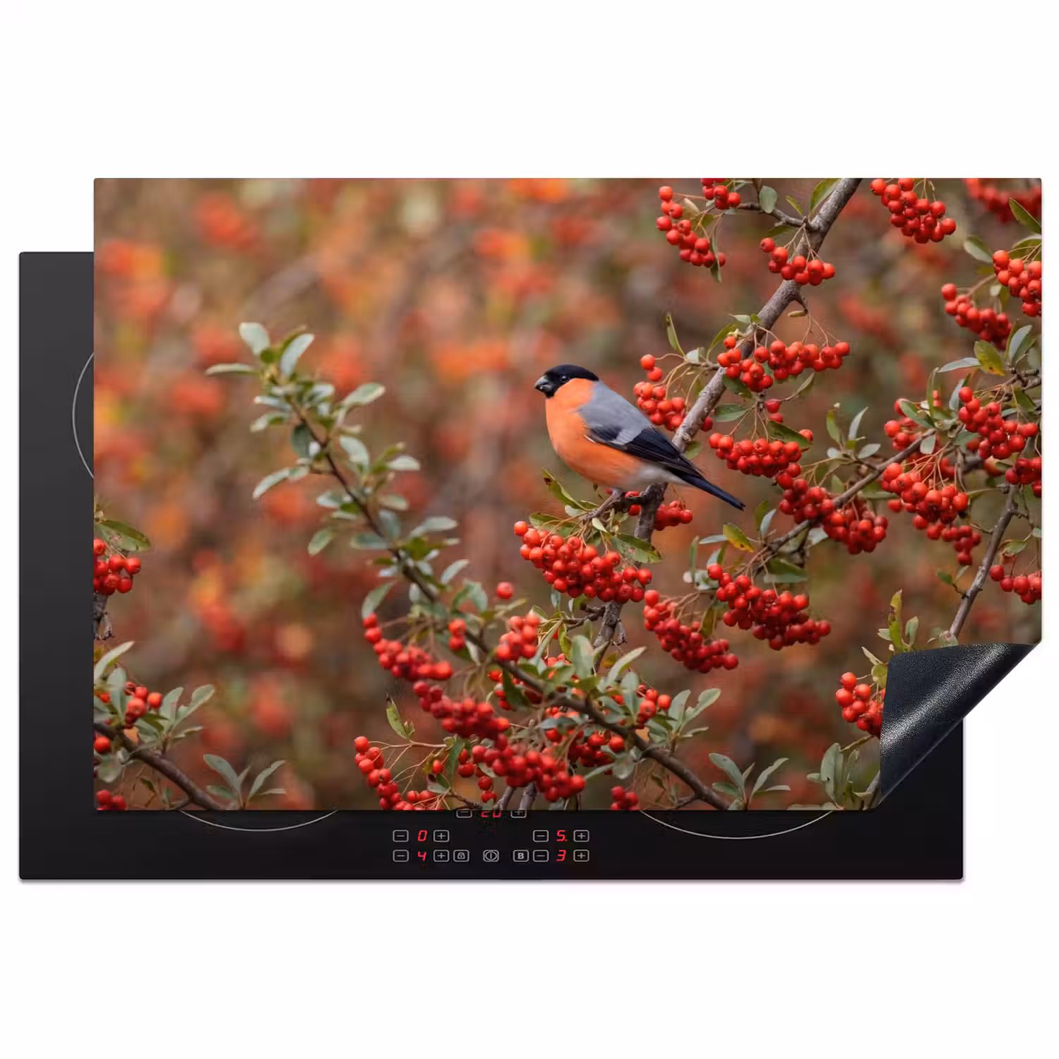 Goudvink - Bessen - Herfst - Natuur - Kleurrijk Inductie beschermer vinyl 3mm klein -3d