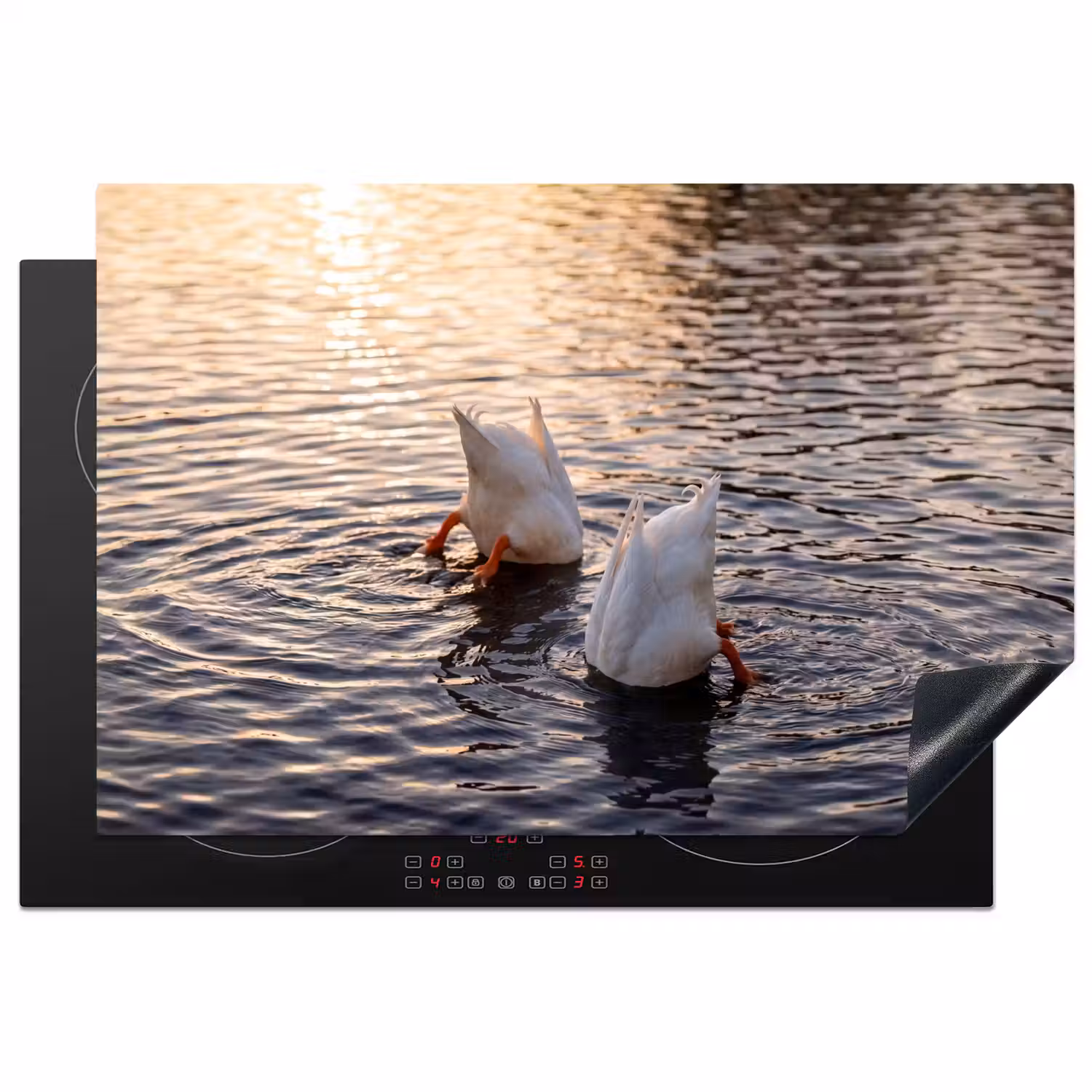 Eenden - Water - Natuur Inductie beschermer vinyl 3mm klein -3d