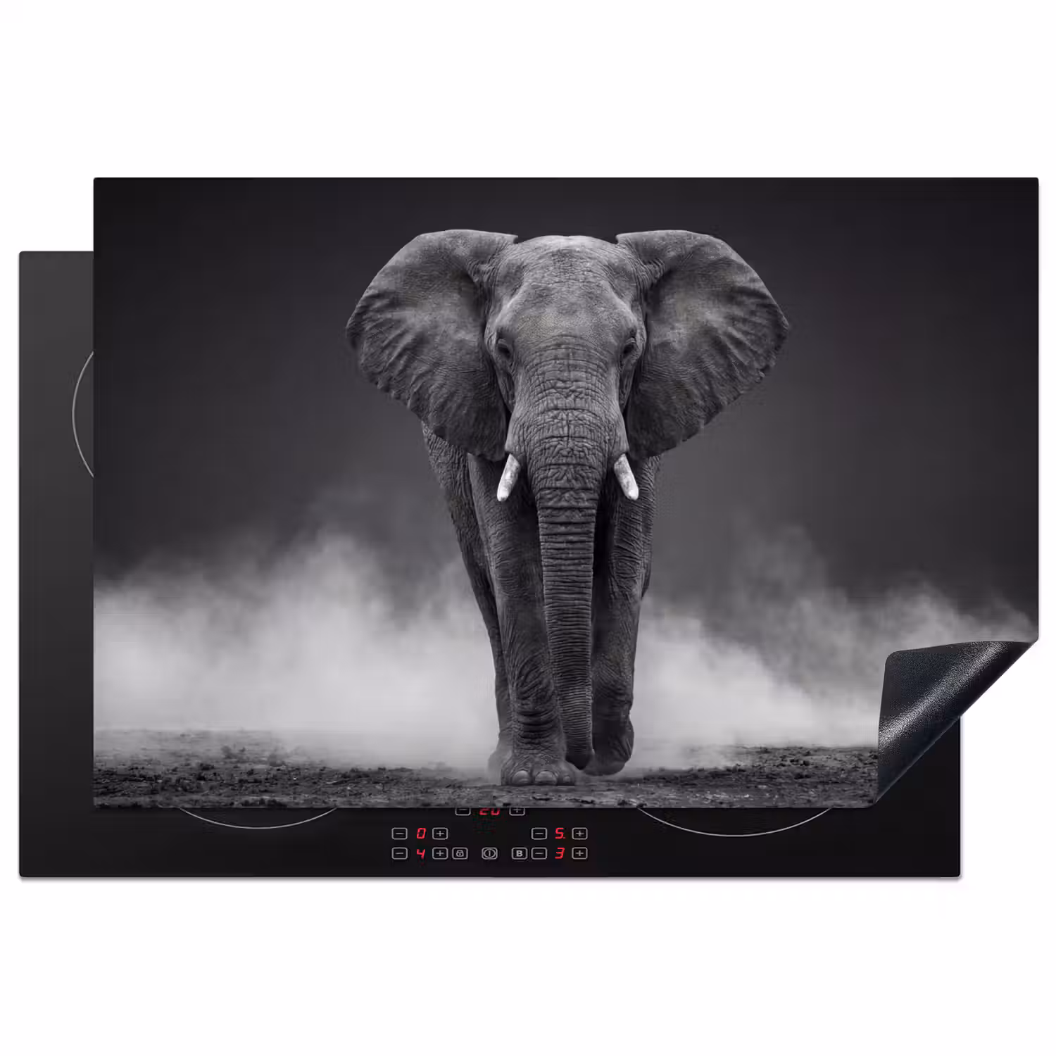 Olifant - Zwart - Wit - Rook Inductie beschermer vinyl 3mm klein -3d