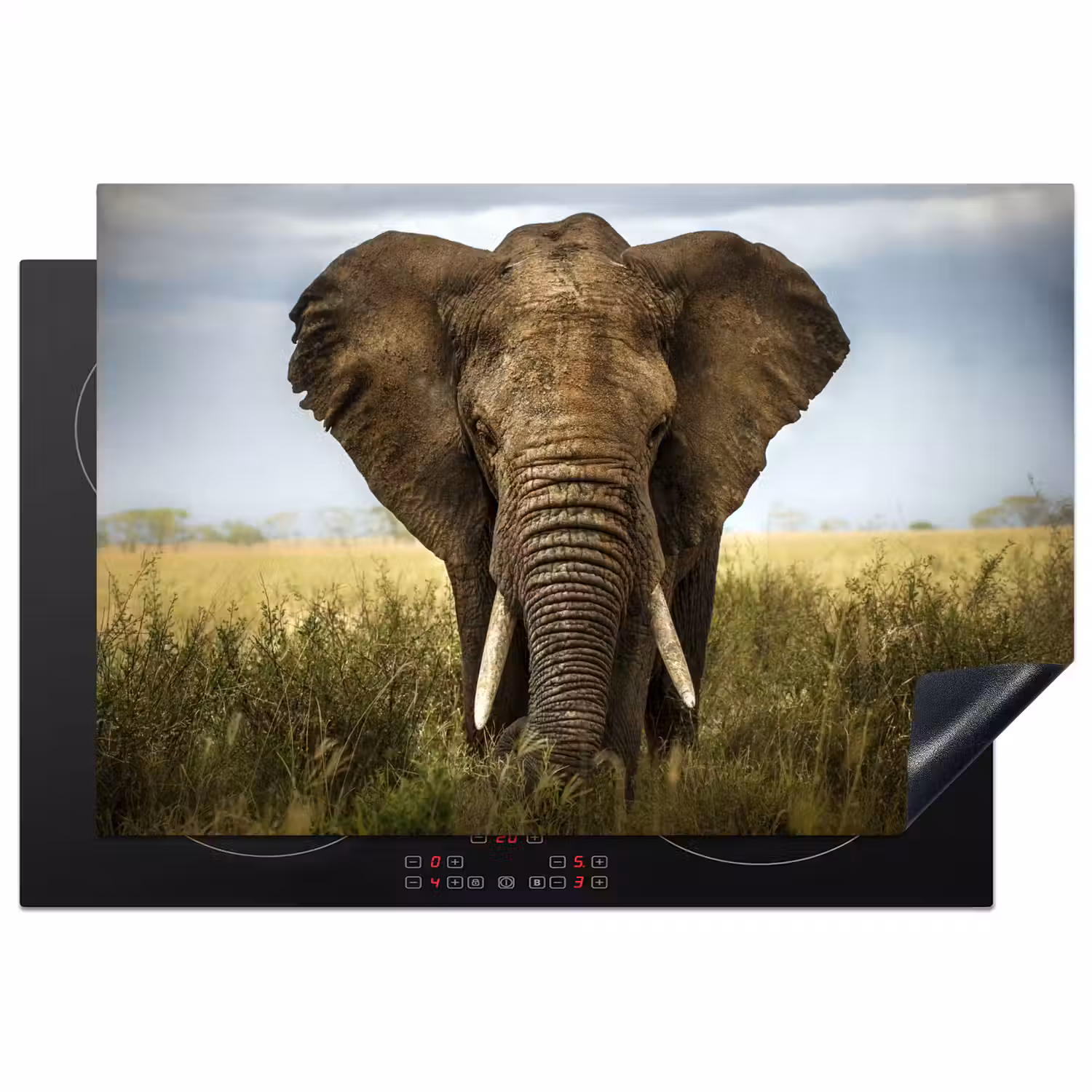 Olifant - Natuur - Gras - Dieren - Landschap Inductie beschermer vinyl 3mm klein -3d