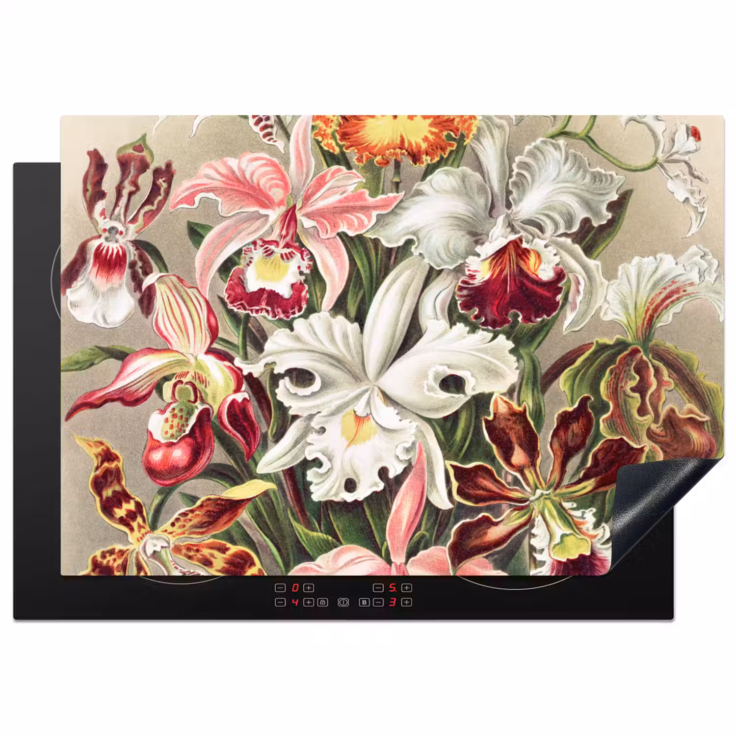 Bloemen - Ernst Haeckel - Vintage - Orchidee Inductie beschermer vinyl 3mm middel -3d