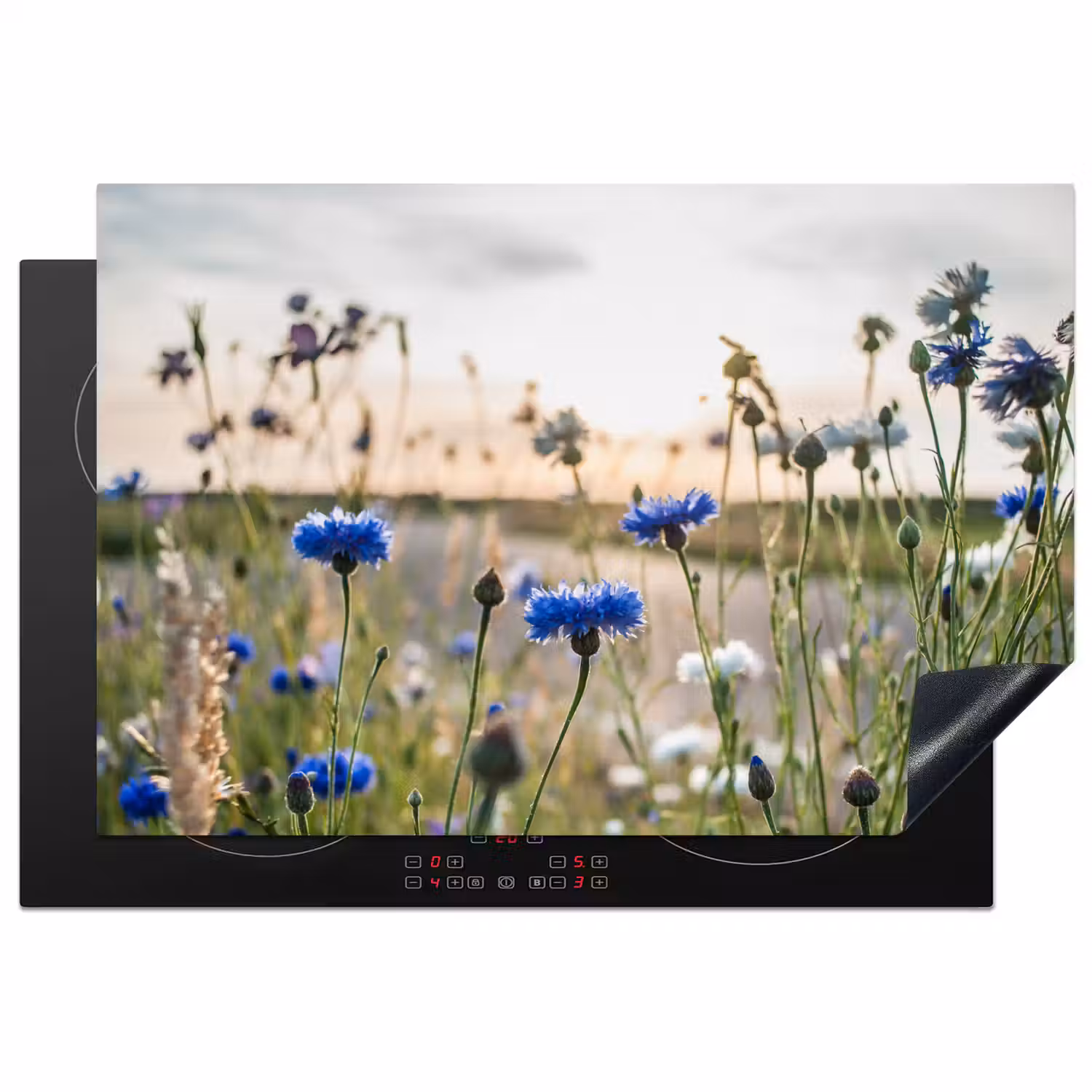 Bloemen - Zomer - Korenbloem - Blauw - Zon - Wolken Inductie beschermer vinyl 3mm klein -3d