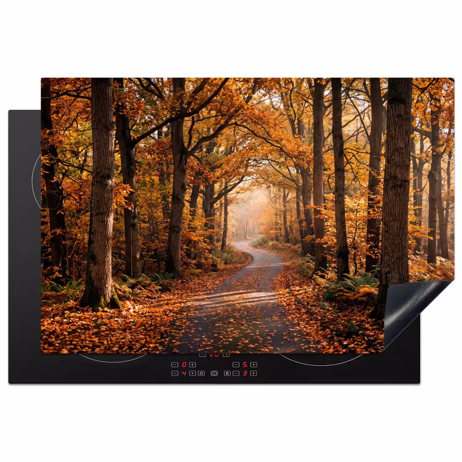 Bospad - Herfstbos - Bladeren - Oranje - Nostalgisch Inductie beschermer vinyl 3mm klein -3d