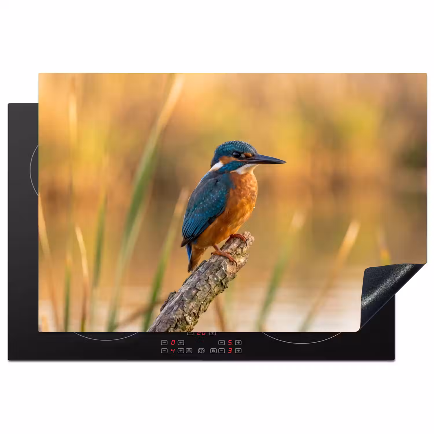 IJsvogel - Tak - Water - Kleurrijk - Levendig Inductie beschermer vinyl 3mm klein -3d