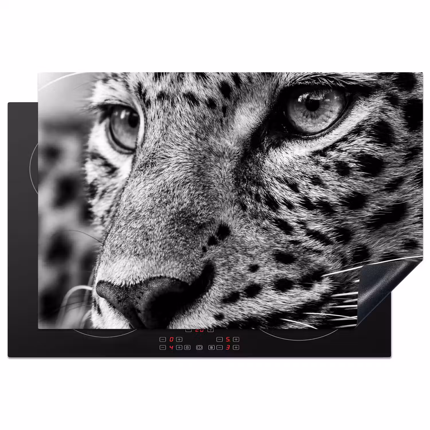 Luipaard - Zwart - Wit - Oog Inductie beschermer vinyl 3mm klein -3d