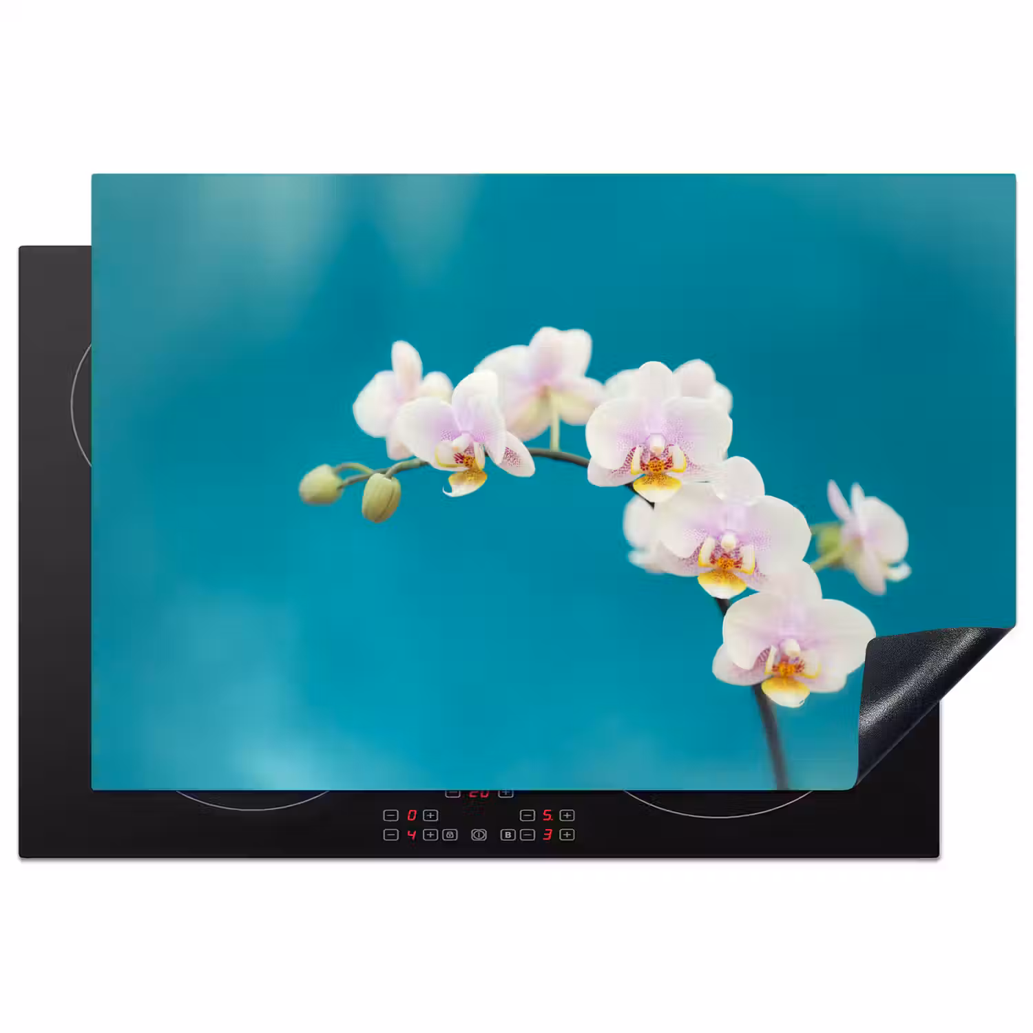 Orchidee - Bloemen - Plant - Wit - Paars Inductie beschermer vinyl 3mm klein -3d