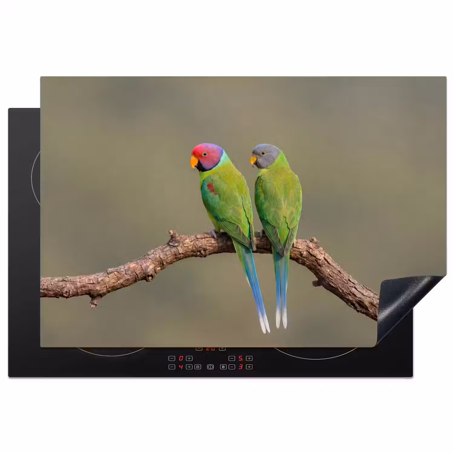 Papagaai - Tak - Natuur - Kleurrijk Inductie beschermer vinyl 3mm klein -3d