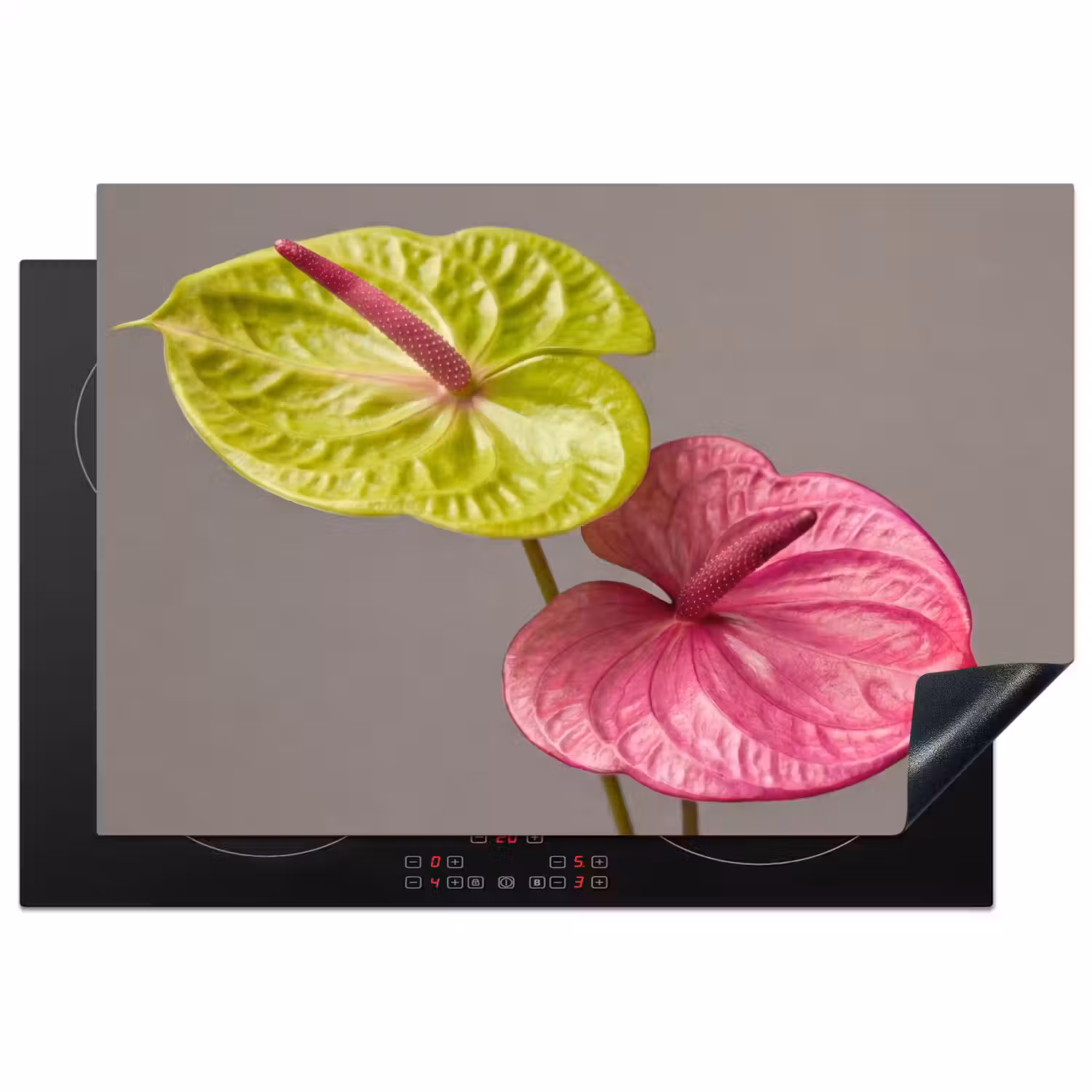 Planten - Anthurium - Groen - Roze Inductie beschermer vinyl 3mm klein -3d