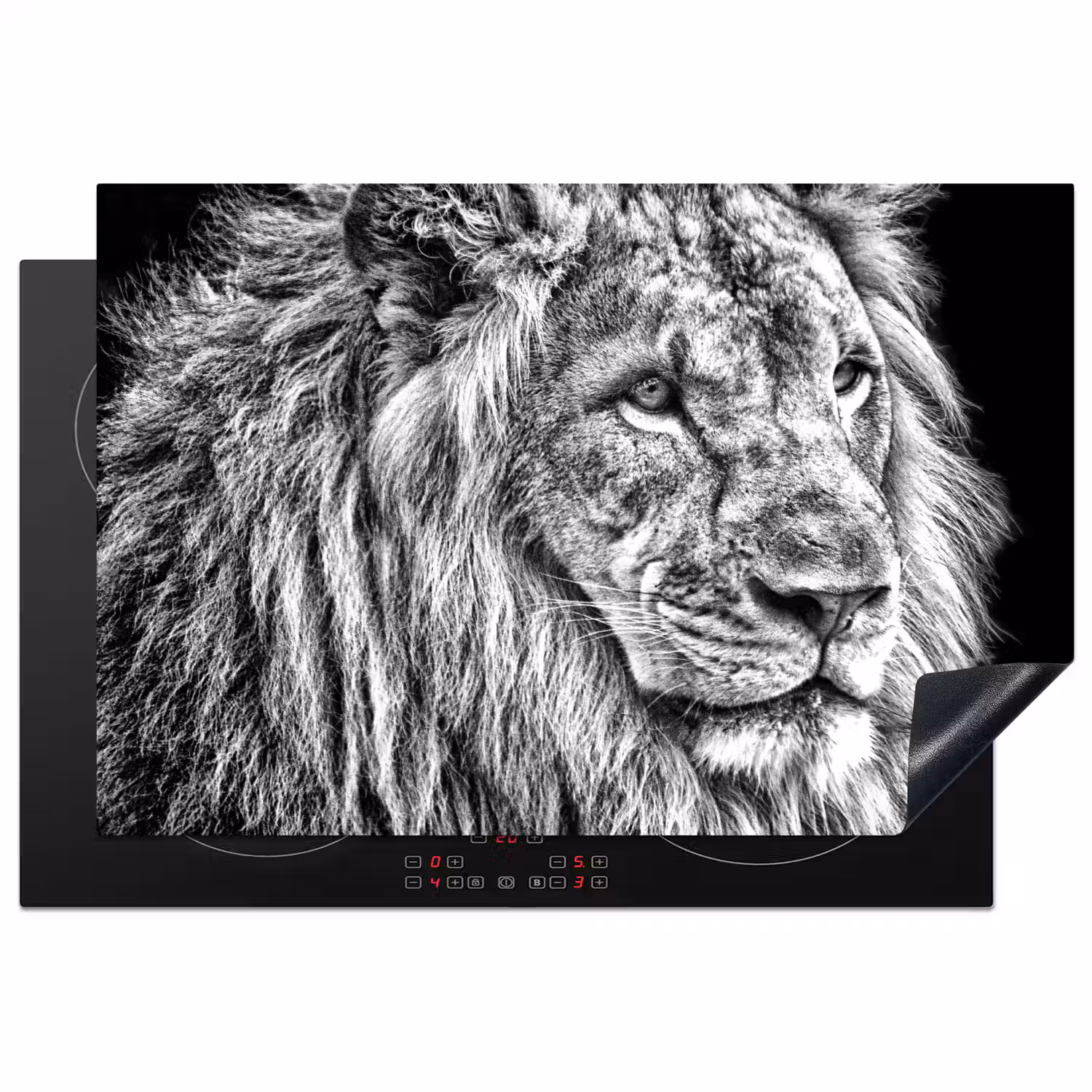 Portret - Leeuw - Zwart wit Inductie beschermer vinyl 3mm klein -3d