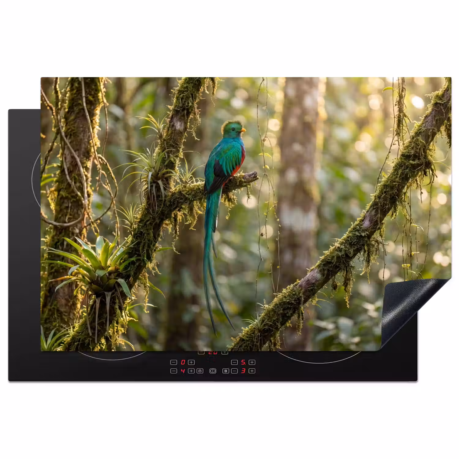 Quetzal - Jungle - Natuur - Groen Inductie beschermer vinyl 3mm klein -3d