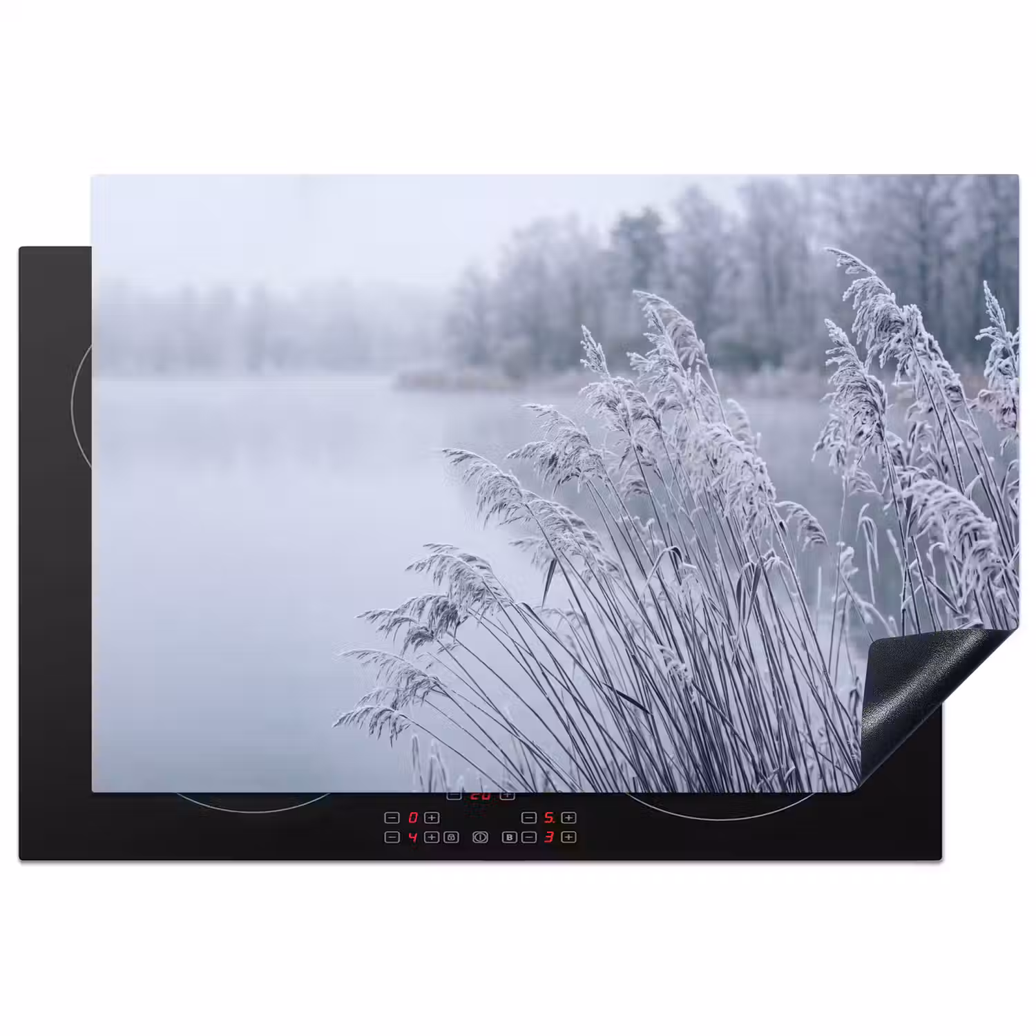 Riet - Bevroren - Winter - Natuur Inductie beschermer vinyl 3mm klein -3d